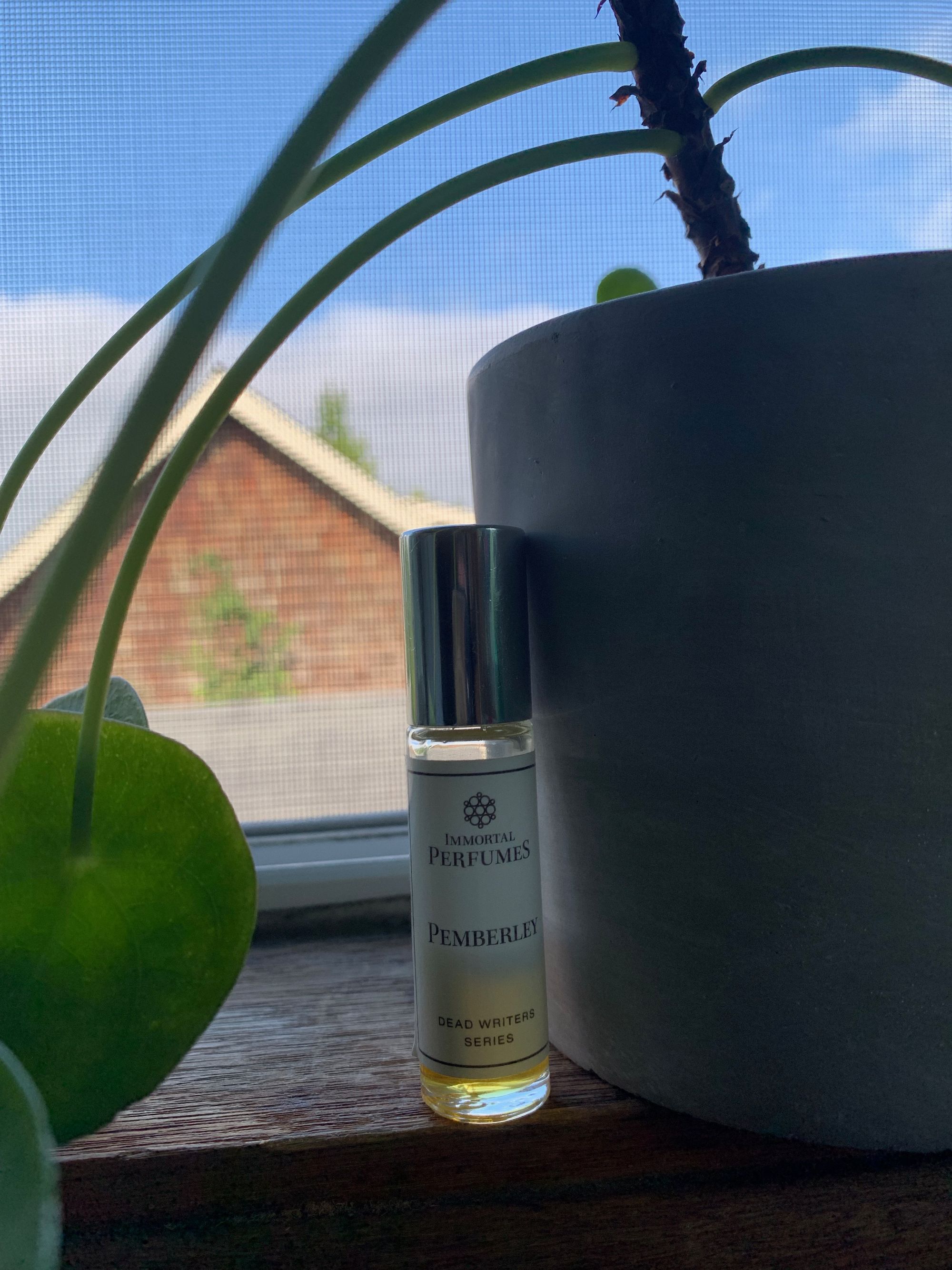 small vial of perfume next to a plant in a grey pot