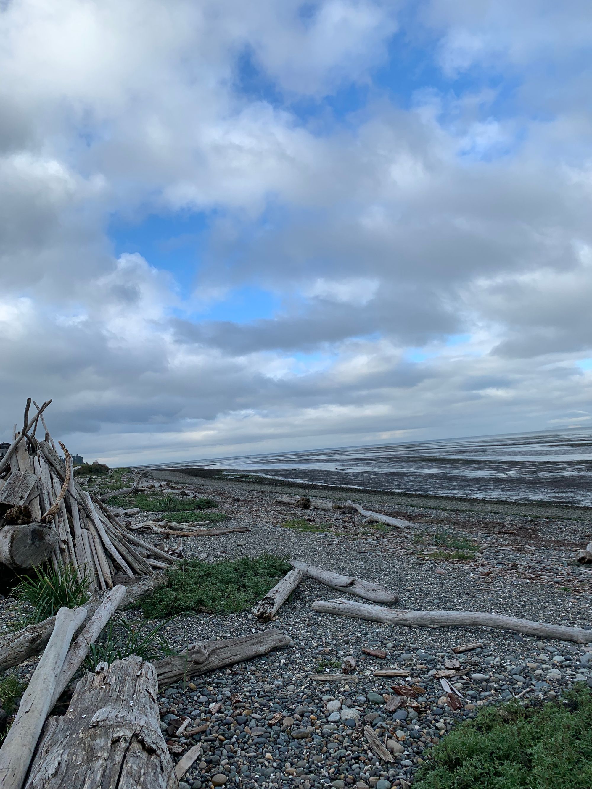 driftwood & a very low tide, cloudy sky