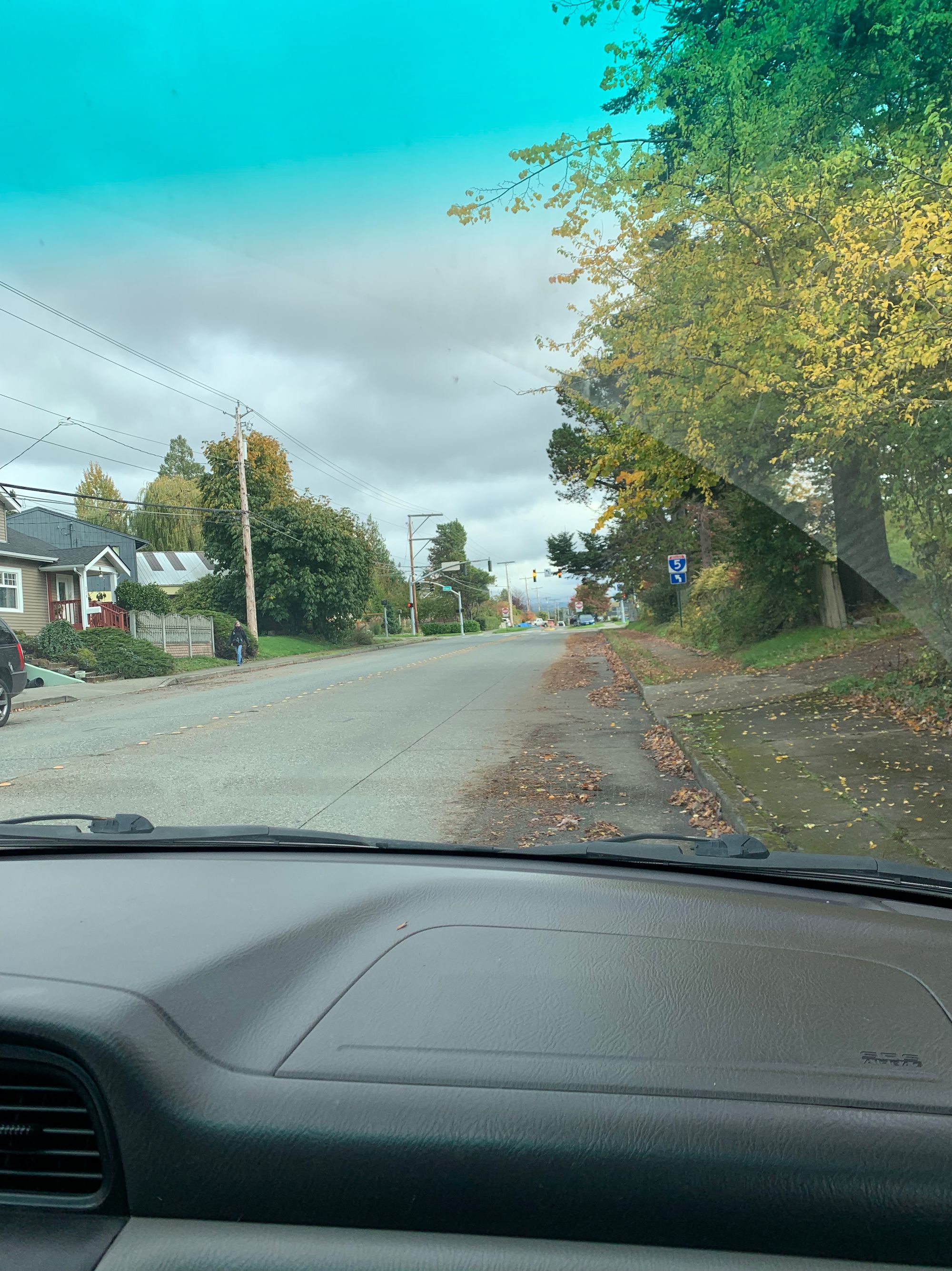 car dashboard, street with houses & fallen leaves