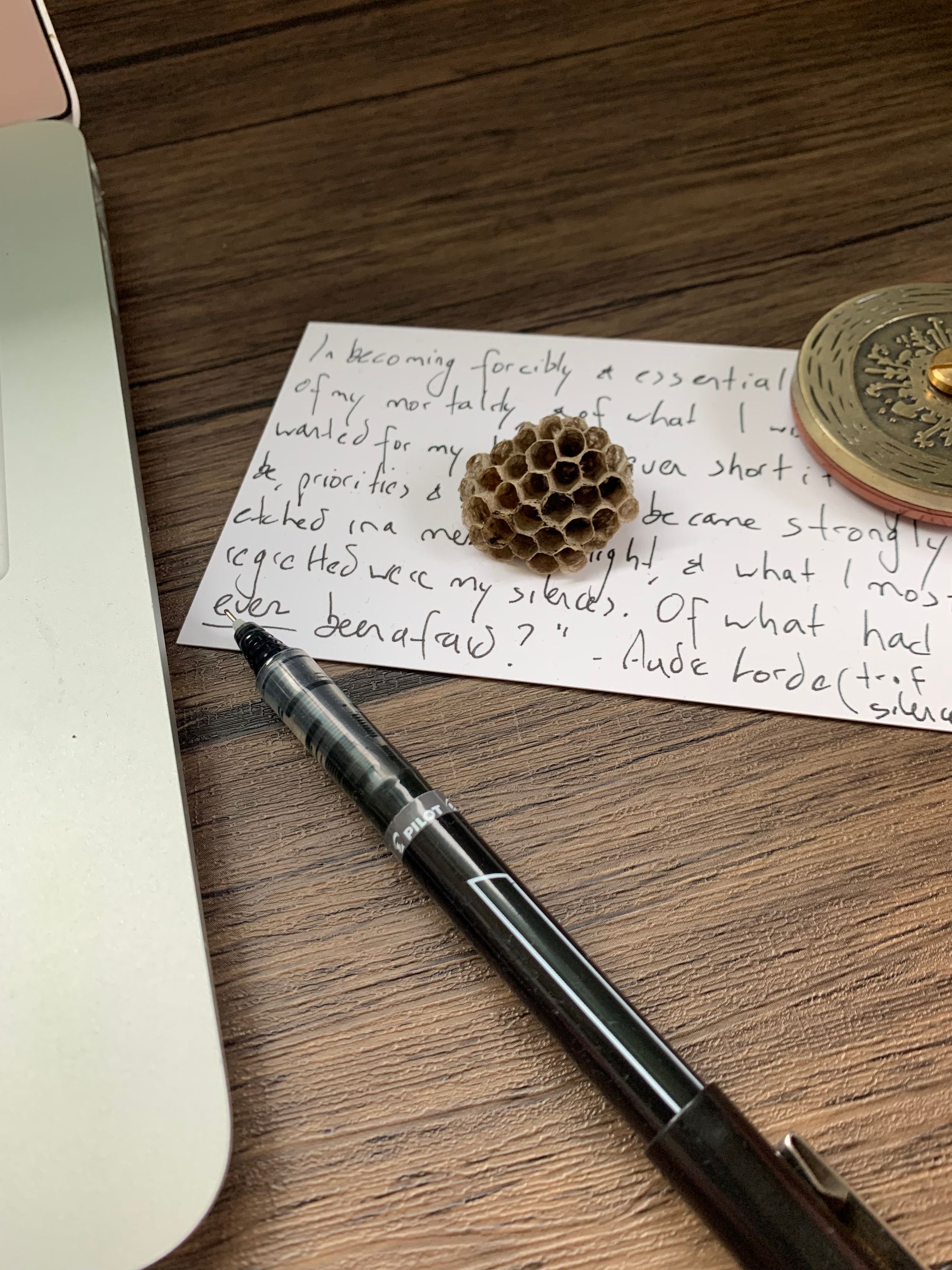 small wasp nest, black pen, brass instrument, notecard