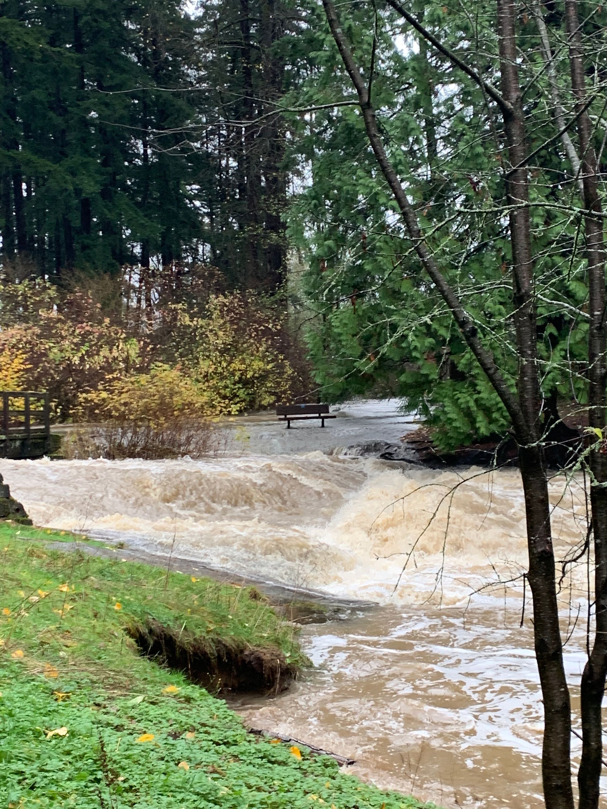 a small waterfall with a flooded bridge & bench