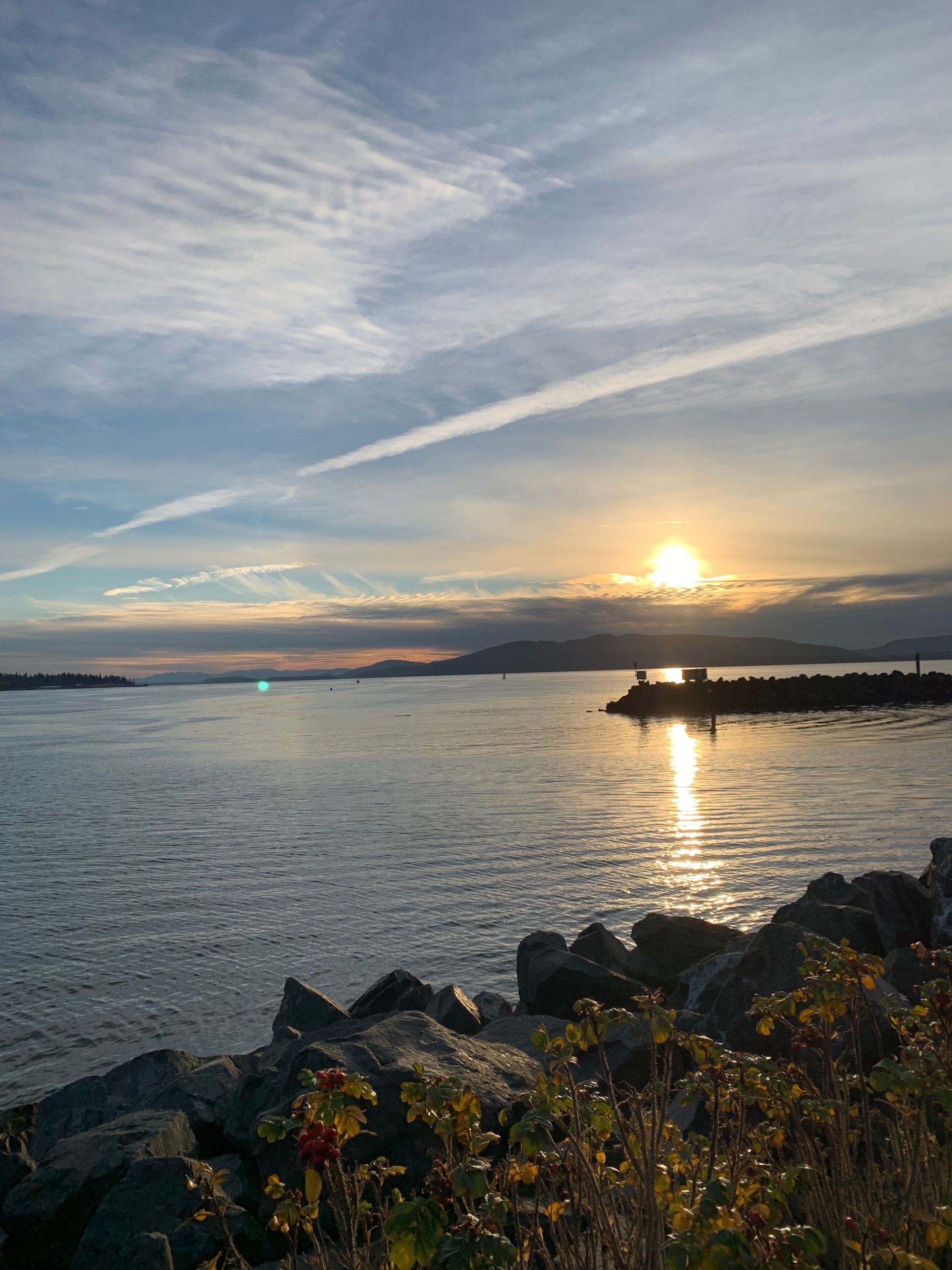 rose bushes, grey rocks & grey water, islands in the distance