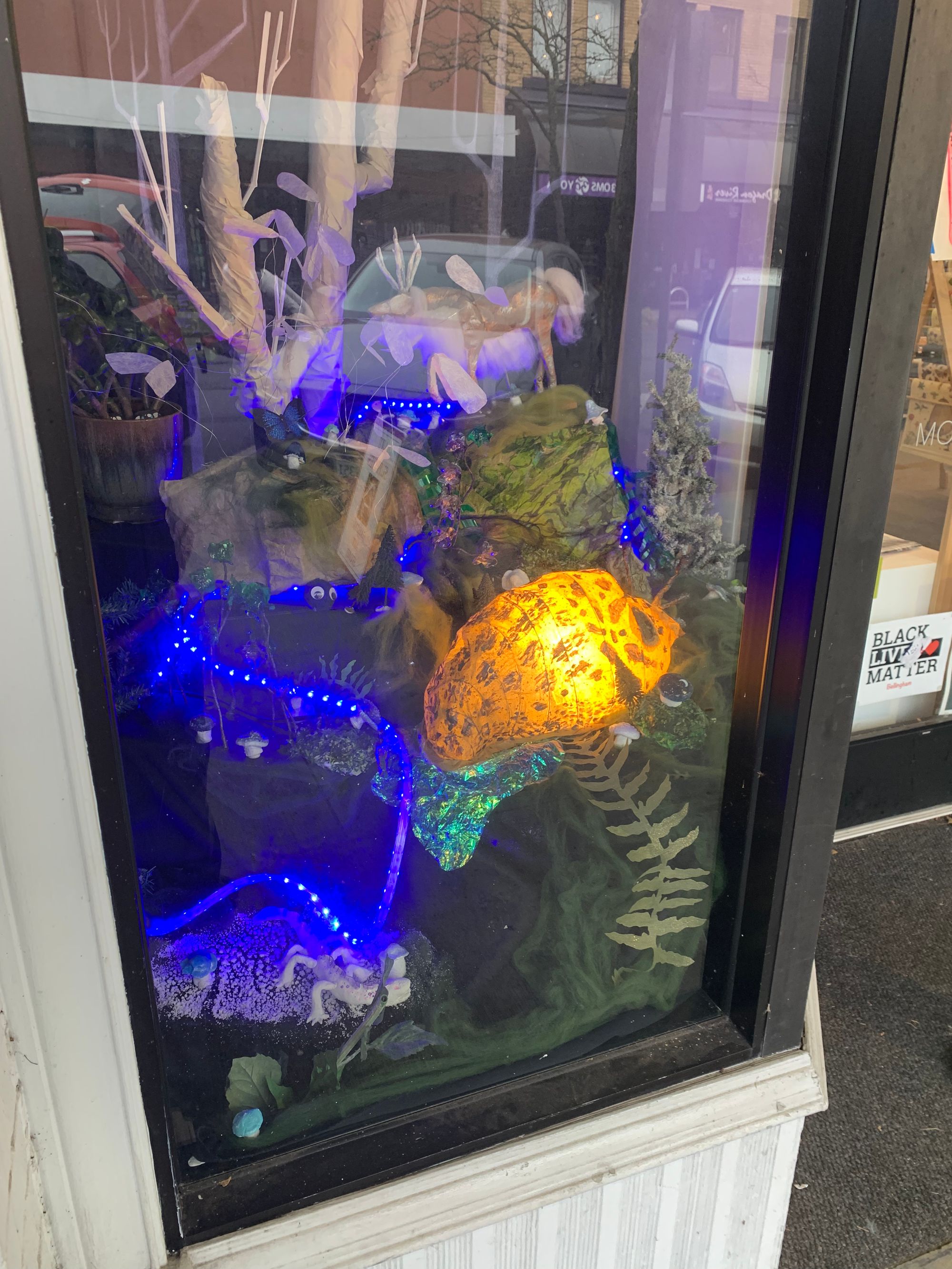 mysterious forest window display, big glowing slug & creatures behind glass