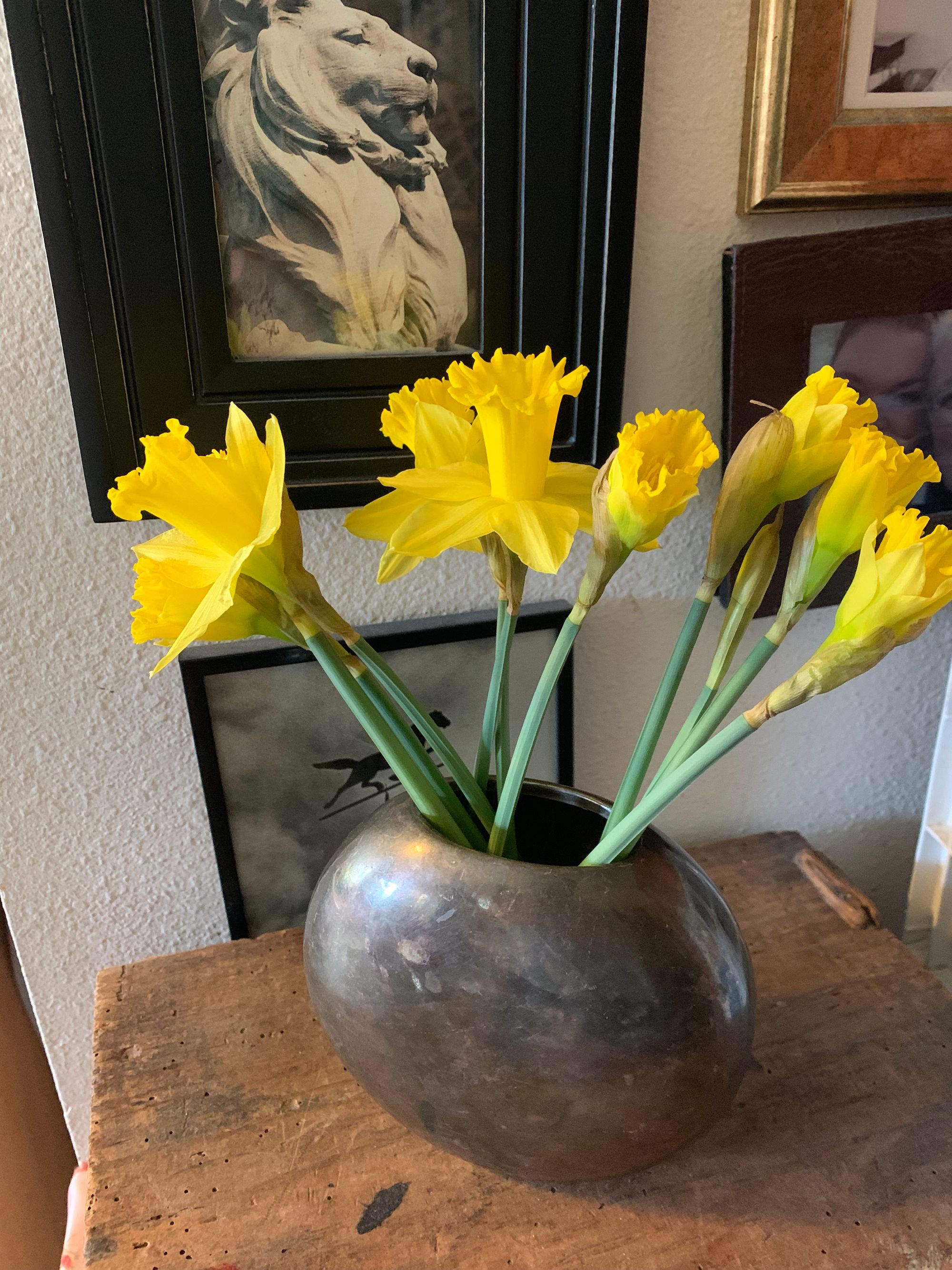 yellow daffodils in very smudgy pewter vase, framed photo of a stone lion behind them, sitting on a wooden box