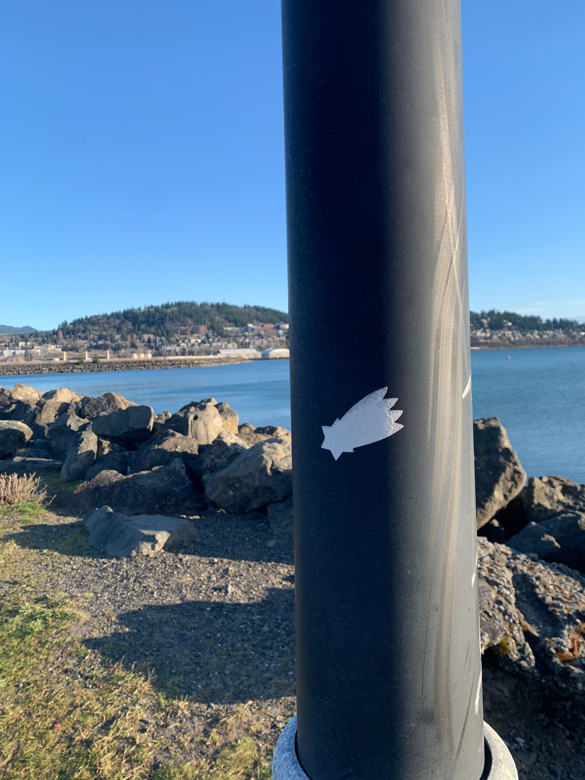 lamppost with peeled off sticker, blue water & city scape behind it