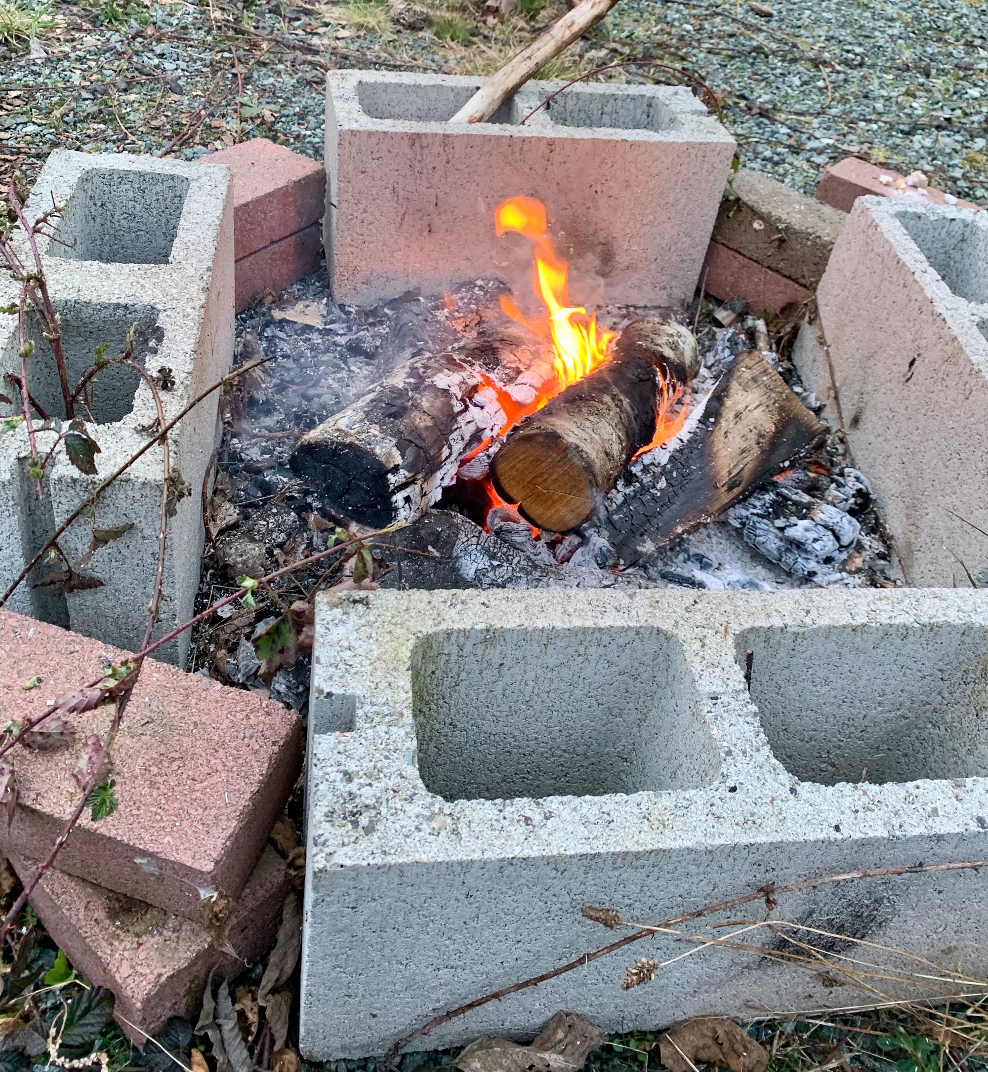 brick fire pit with three log fire, a few blackberry vines