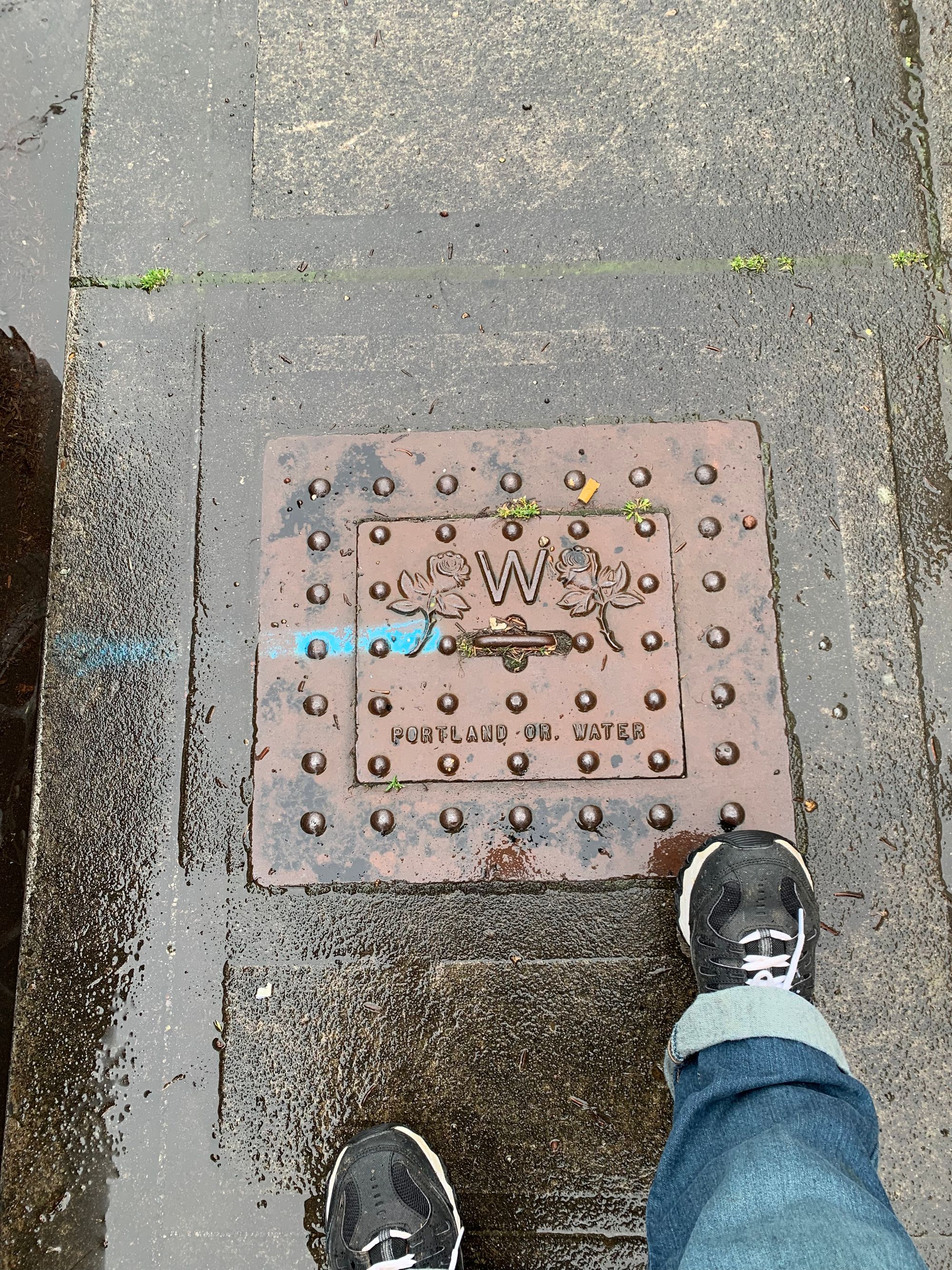 wet sidewalk, metal sewer cover with roses on it, black sneakers