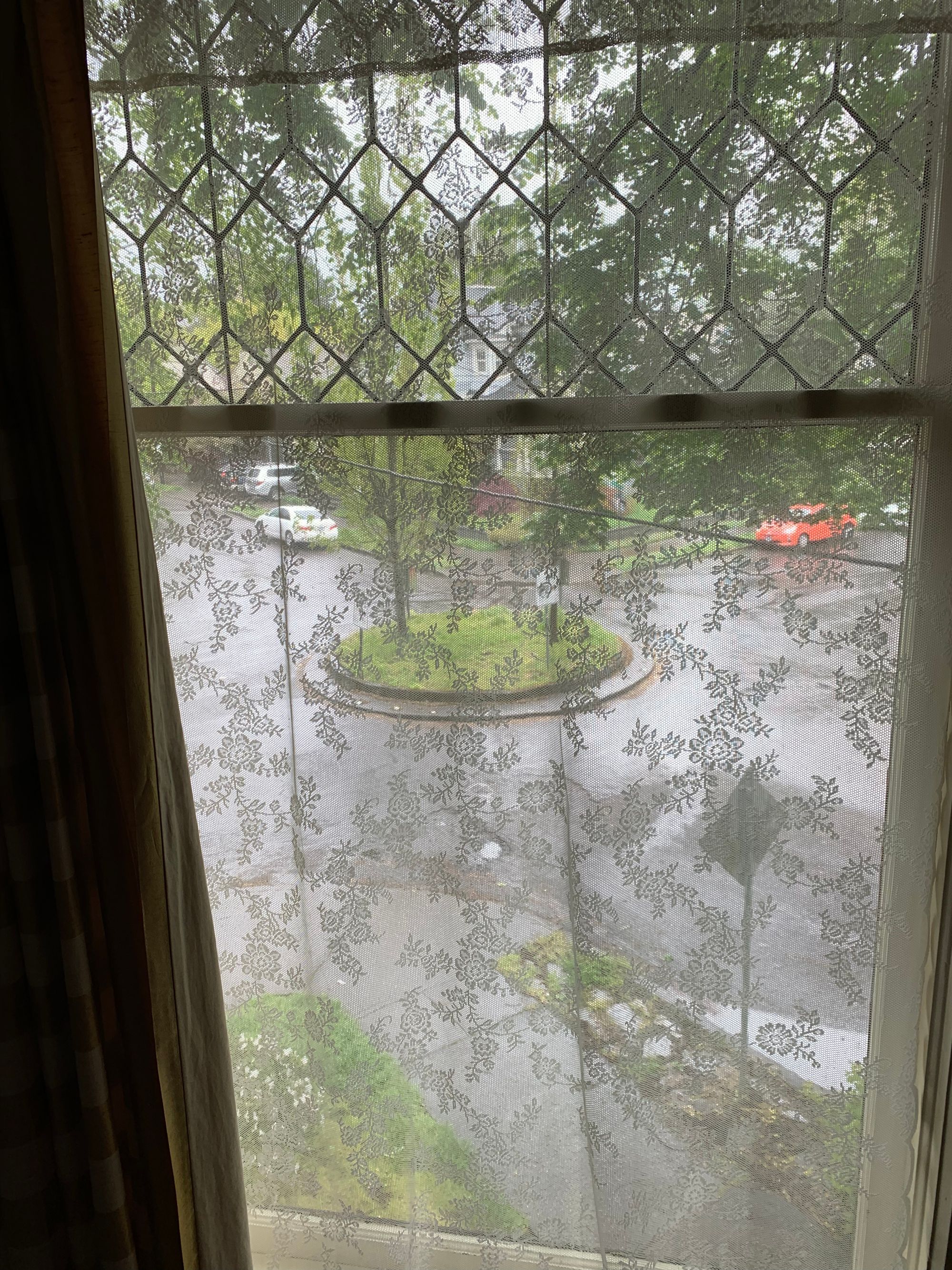 view from a tall window through a lace curtain, traffic circle & parked cars visible outside