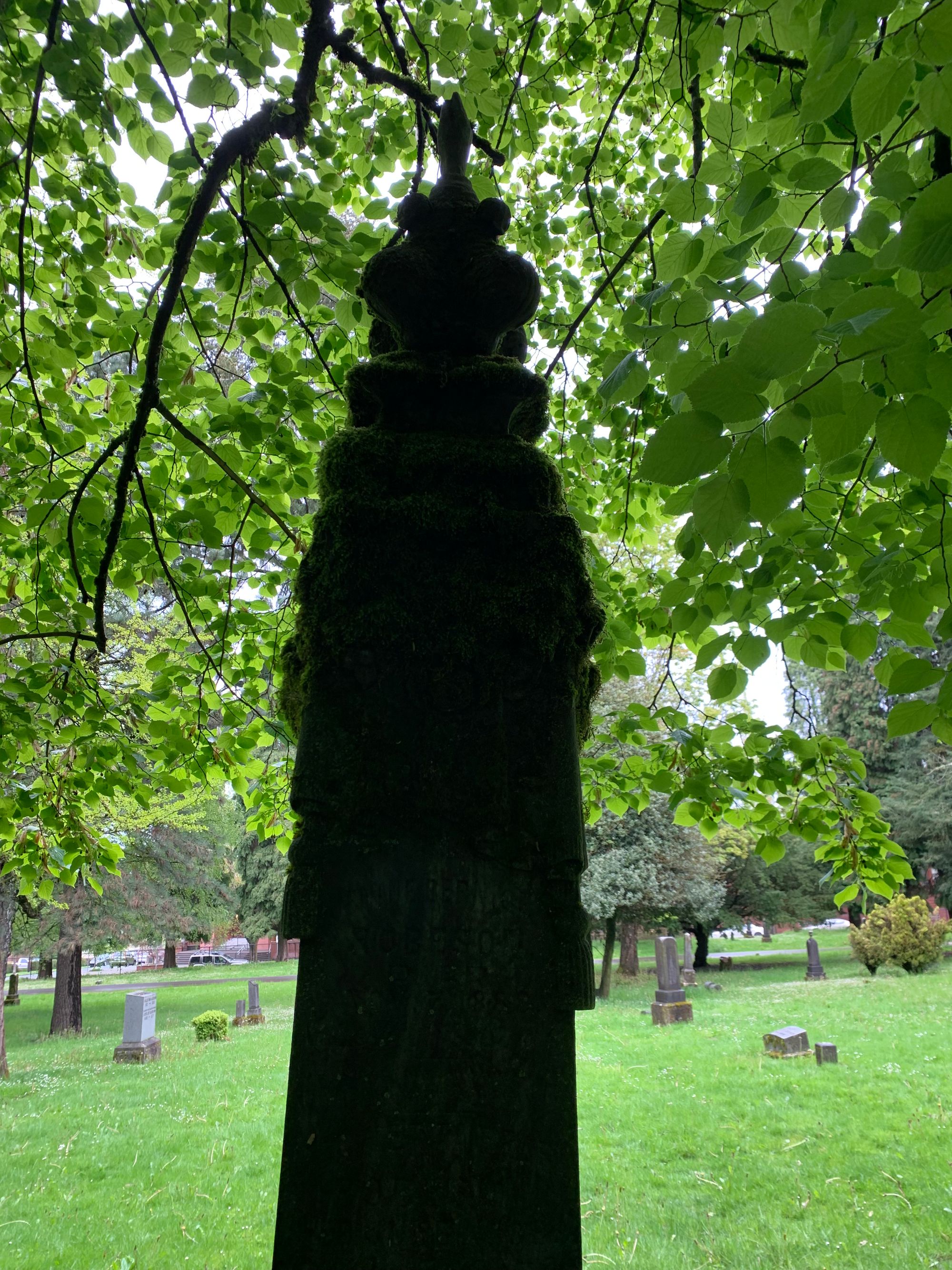 shadowy grave monument, green grass beyond, leafy tree limbs above