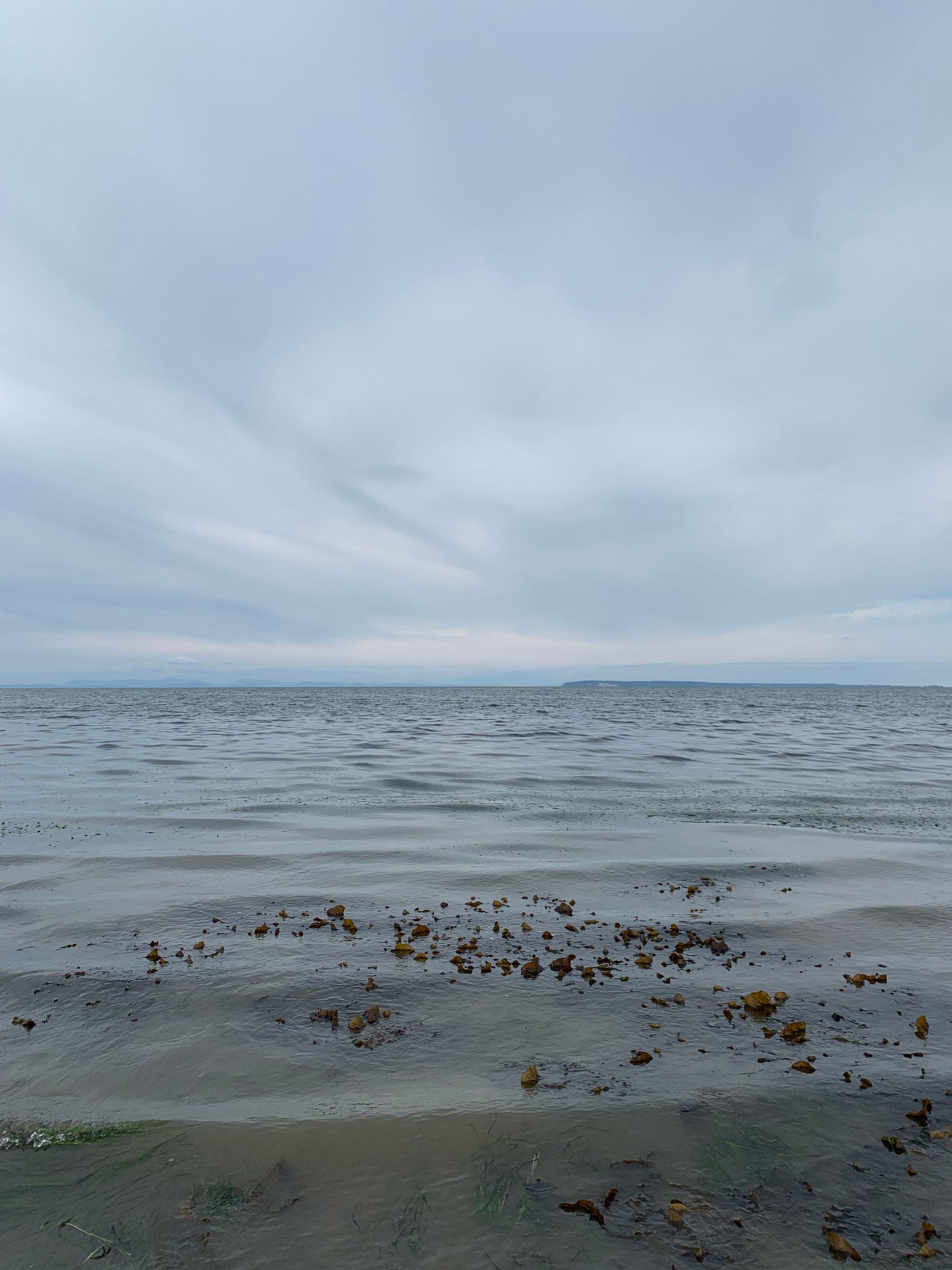 grey sky, island in the distance, wide expanse of grey-brown water with swirling beds of seaweed