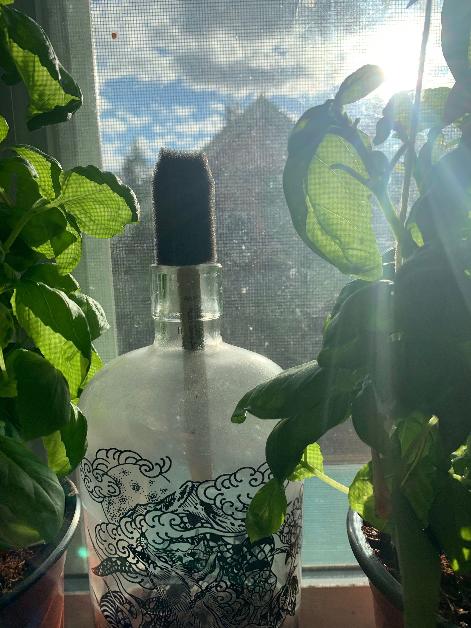 an empty bourbon bottle holding a paintbrush with a basil plant on each side, all sitting on a windowsill with clouds & bright blue sky behind it