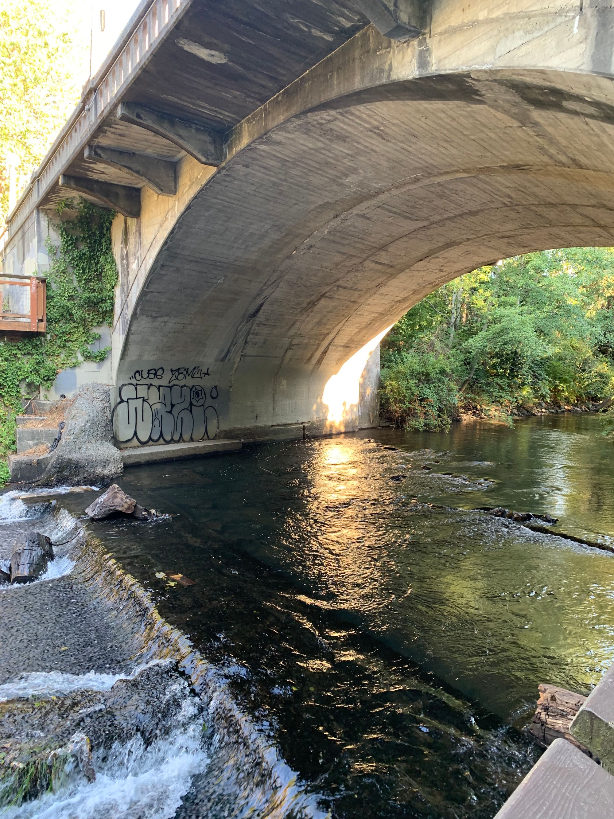 the underside of a concrete bridge over a stream, some graffiti on one of the bridge walls, greenery down to the creek banks