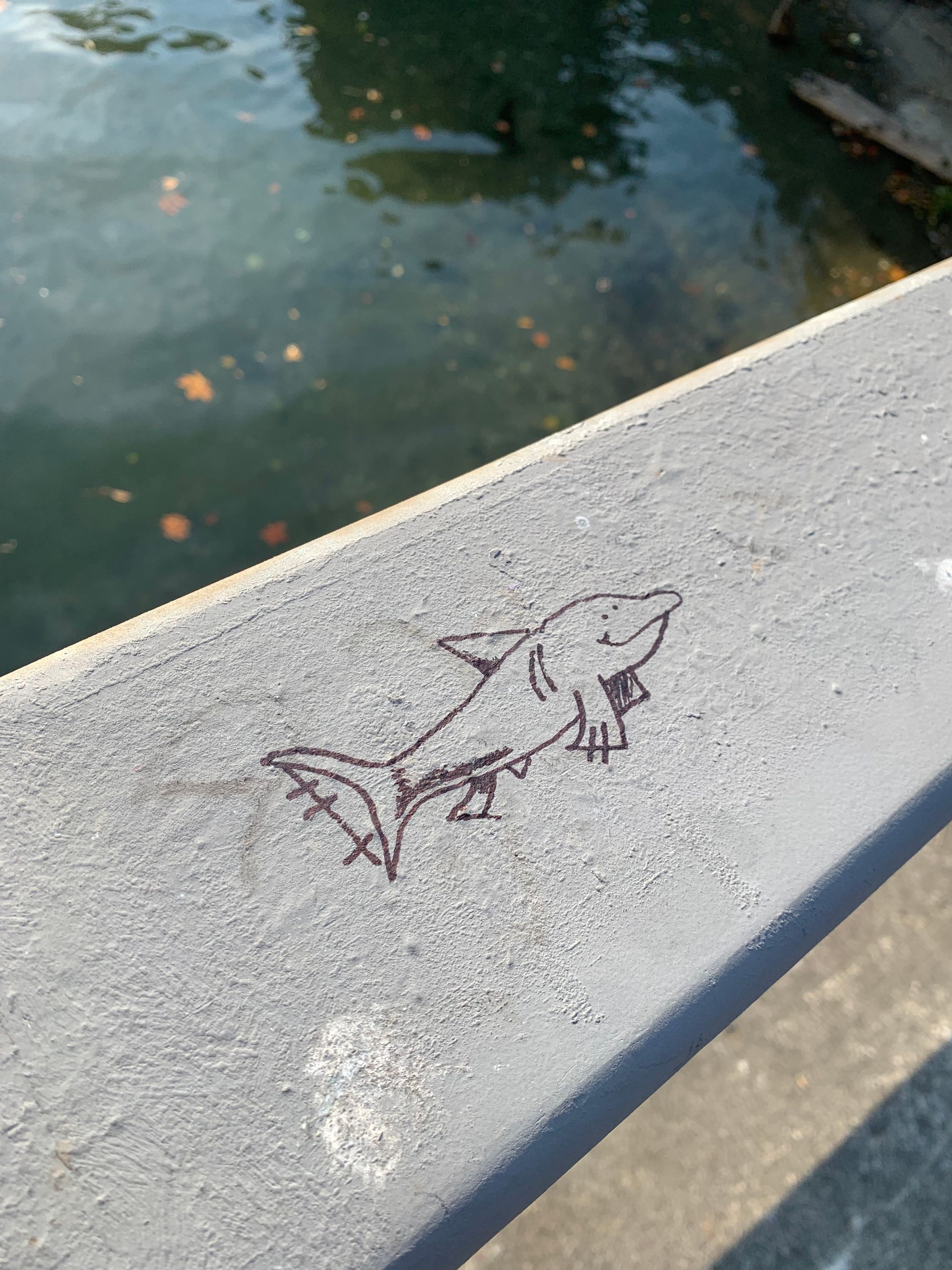 graffiti drawing of a smiling shark, drawn on a grey railing, water in the background