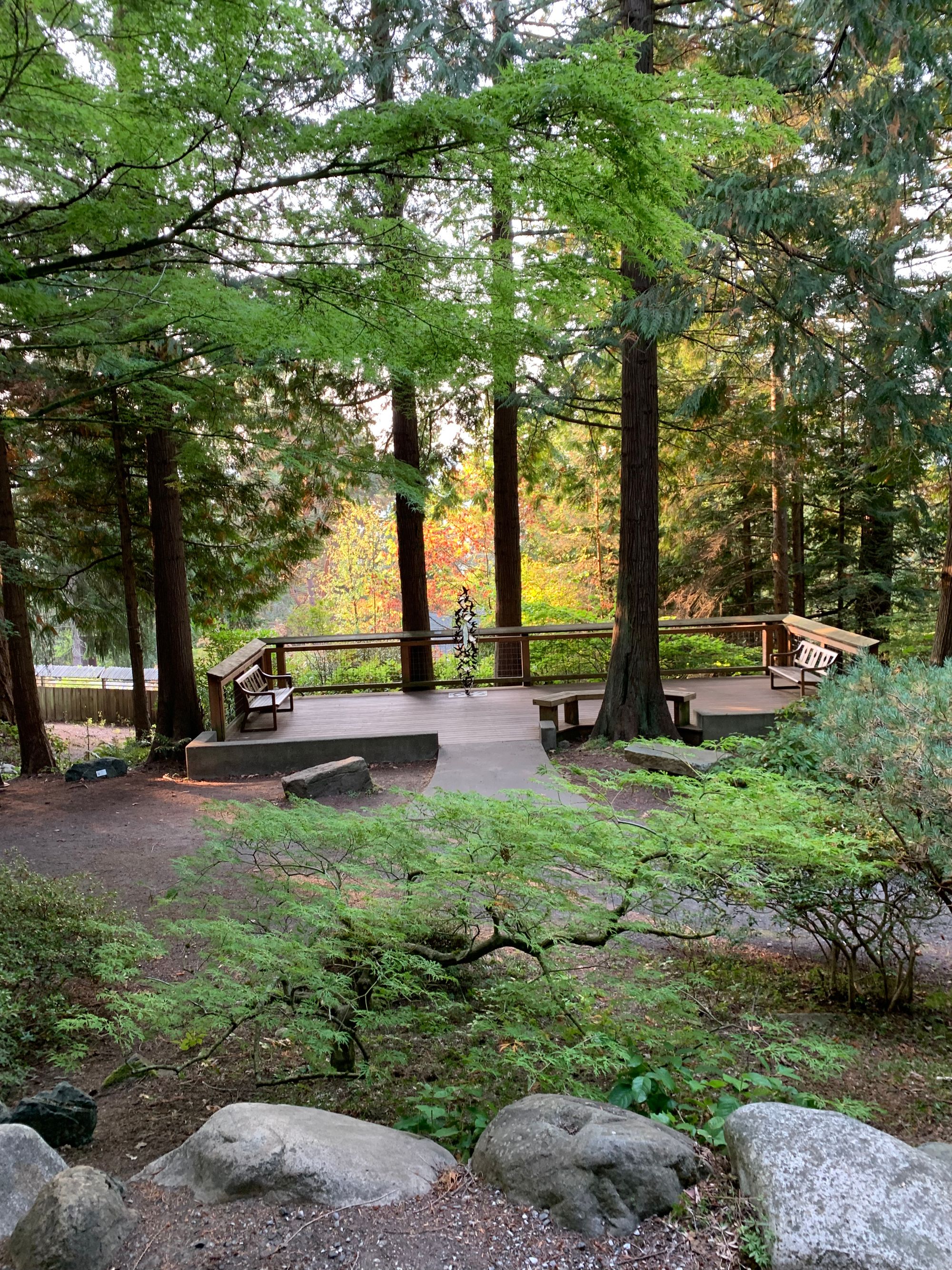 large grey rocks, small Japanese maples other shrubs in foreground, a few cedars surrounding a wooden patio with a glass & metal sculpture