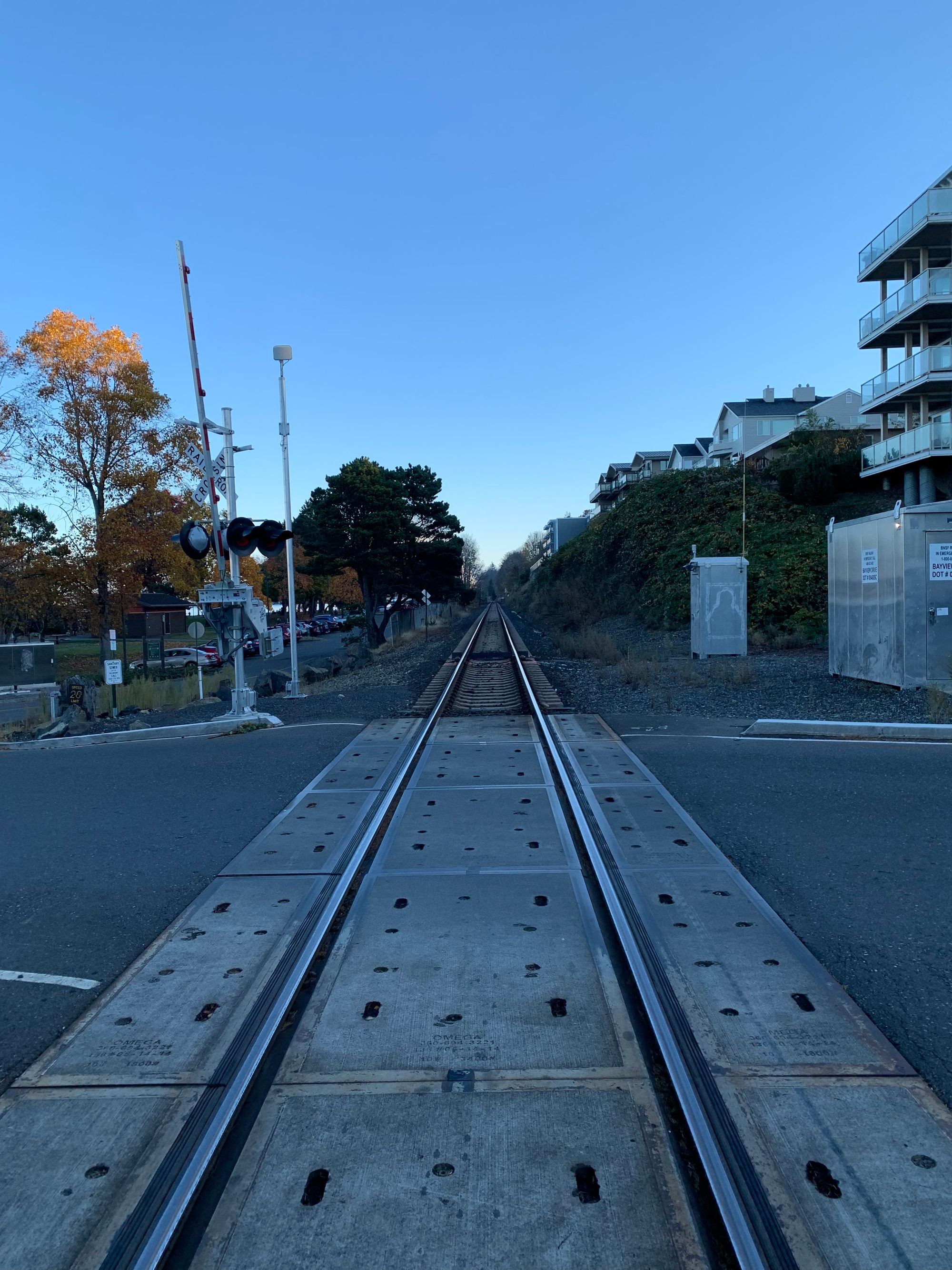 railroad tracks, centered in the frame, extending past a row of trees & parked cars & a high green bank with tan houses. a silver metal utility box with white grafitti of a person's shape. 