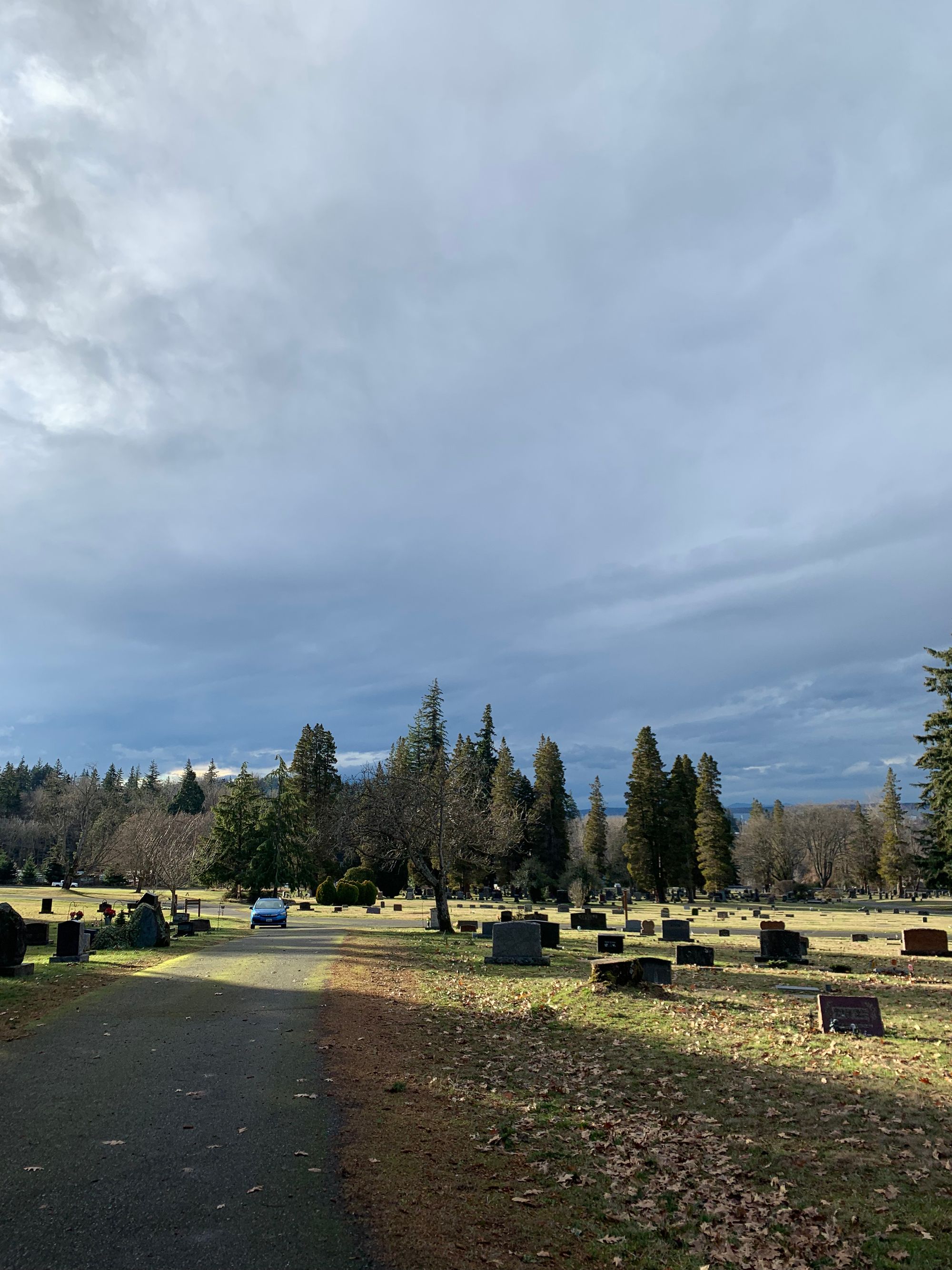 a view down the hill of a graveyard, green grass, grey headstones, small blue car, line of trees in the distance