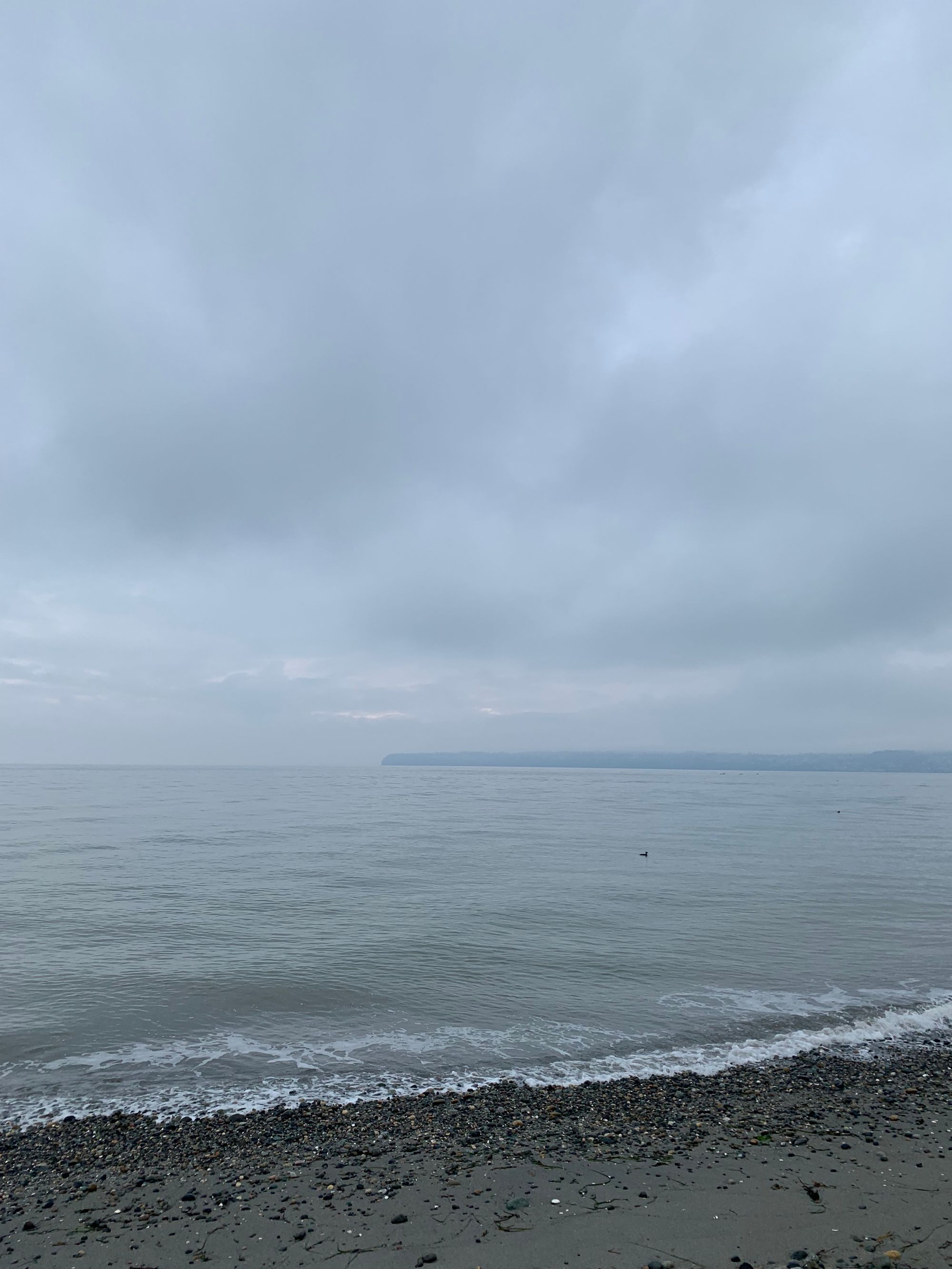 grey water, a little white foam, sand & pebble beach, grey sky, a few small black seabirds on the water