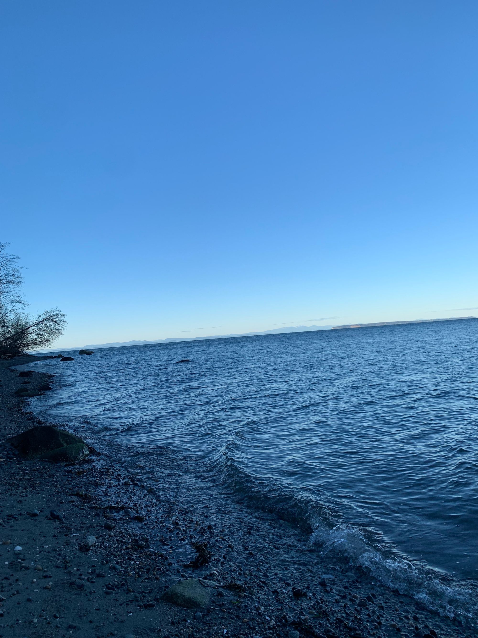 blue sky with a faint line of whitish pink, grey blue water with low waves, pebbly beach & a couple trees on the shoreline