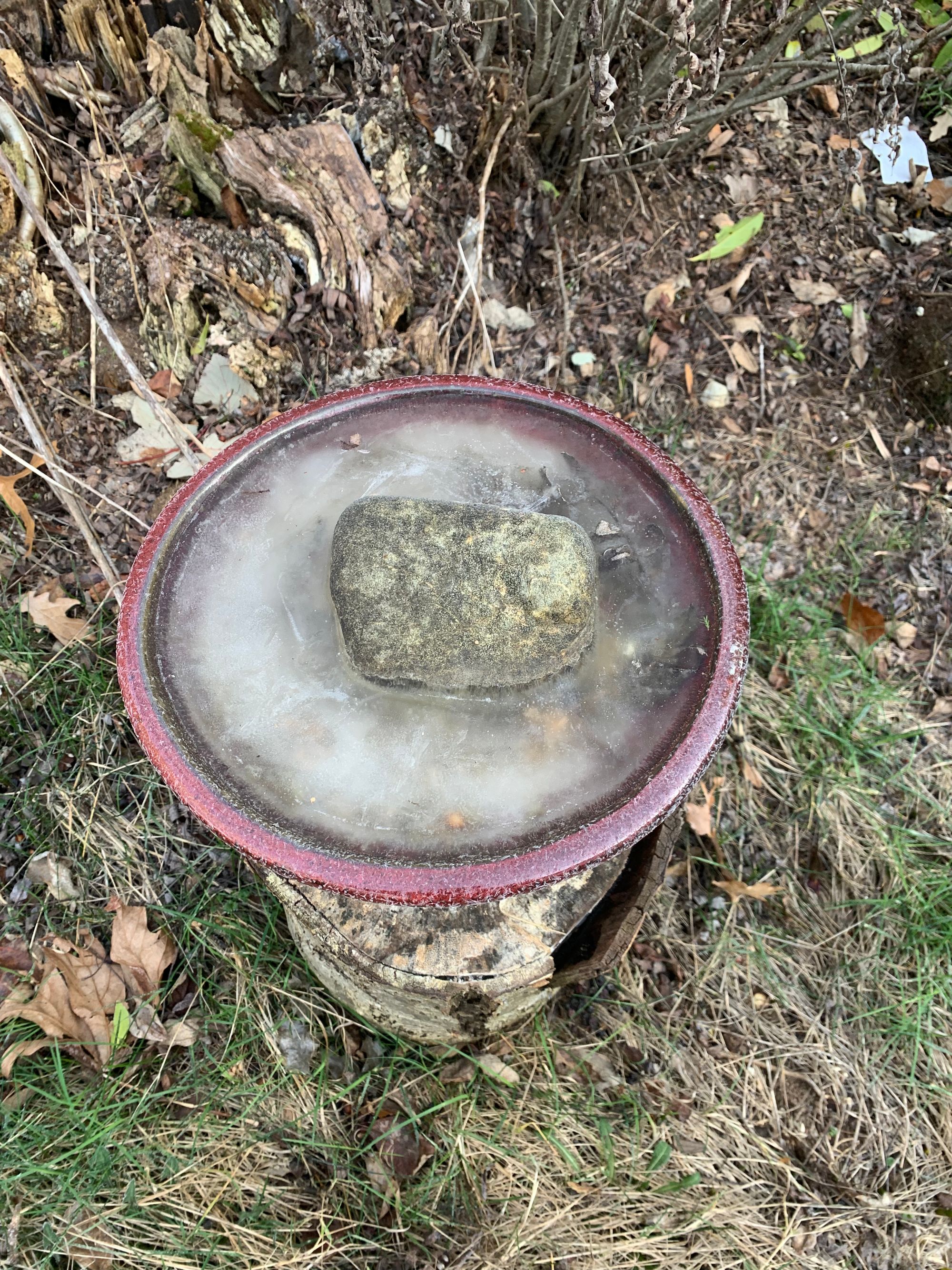 small red birdbath, full of ice, large grey rock set in the middle of it, surrounded by green & brown grass, sitting on a tree stump