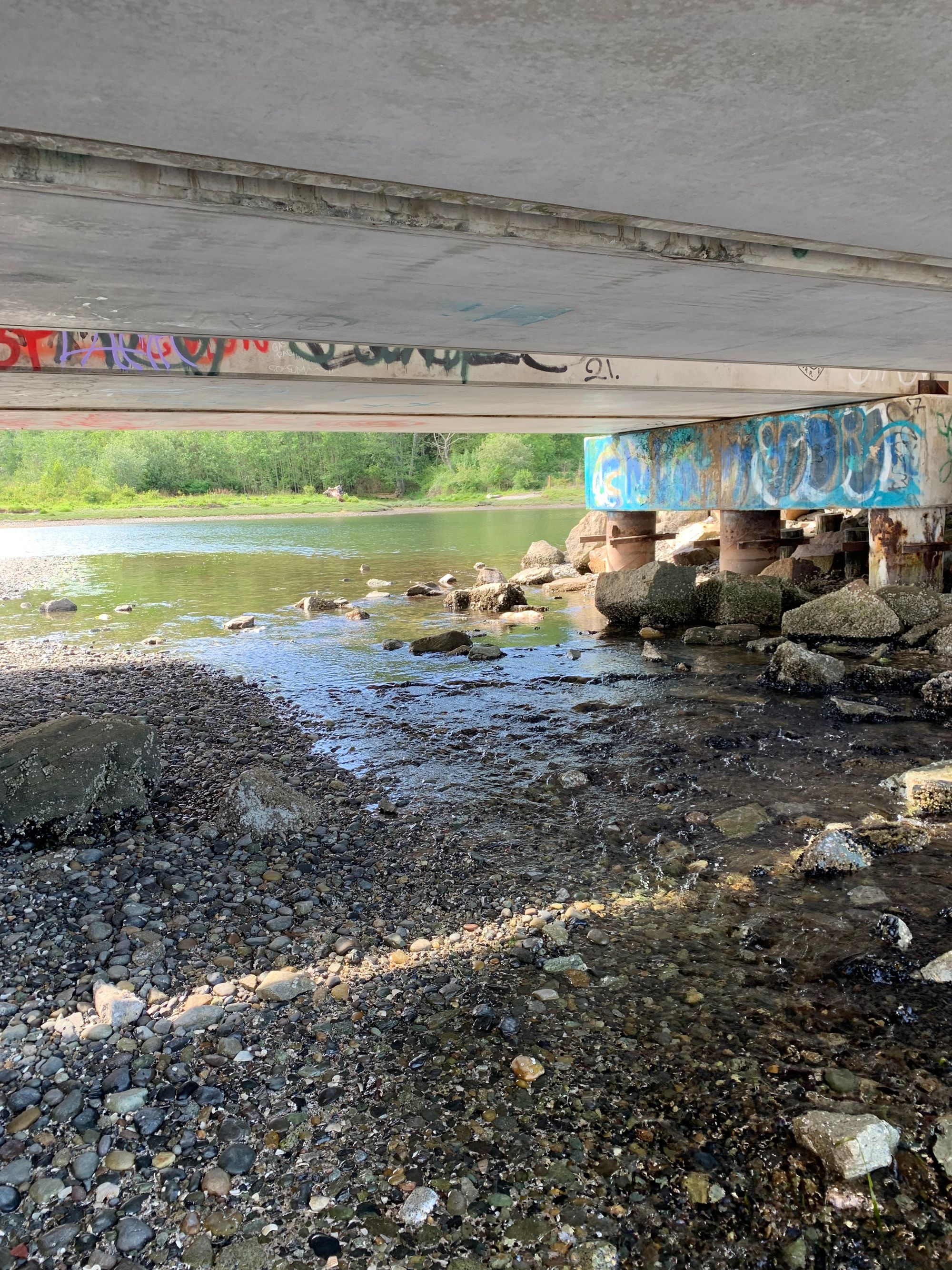 a train underpass crossing a stream, pond visible in the background, colorful graffitti