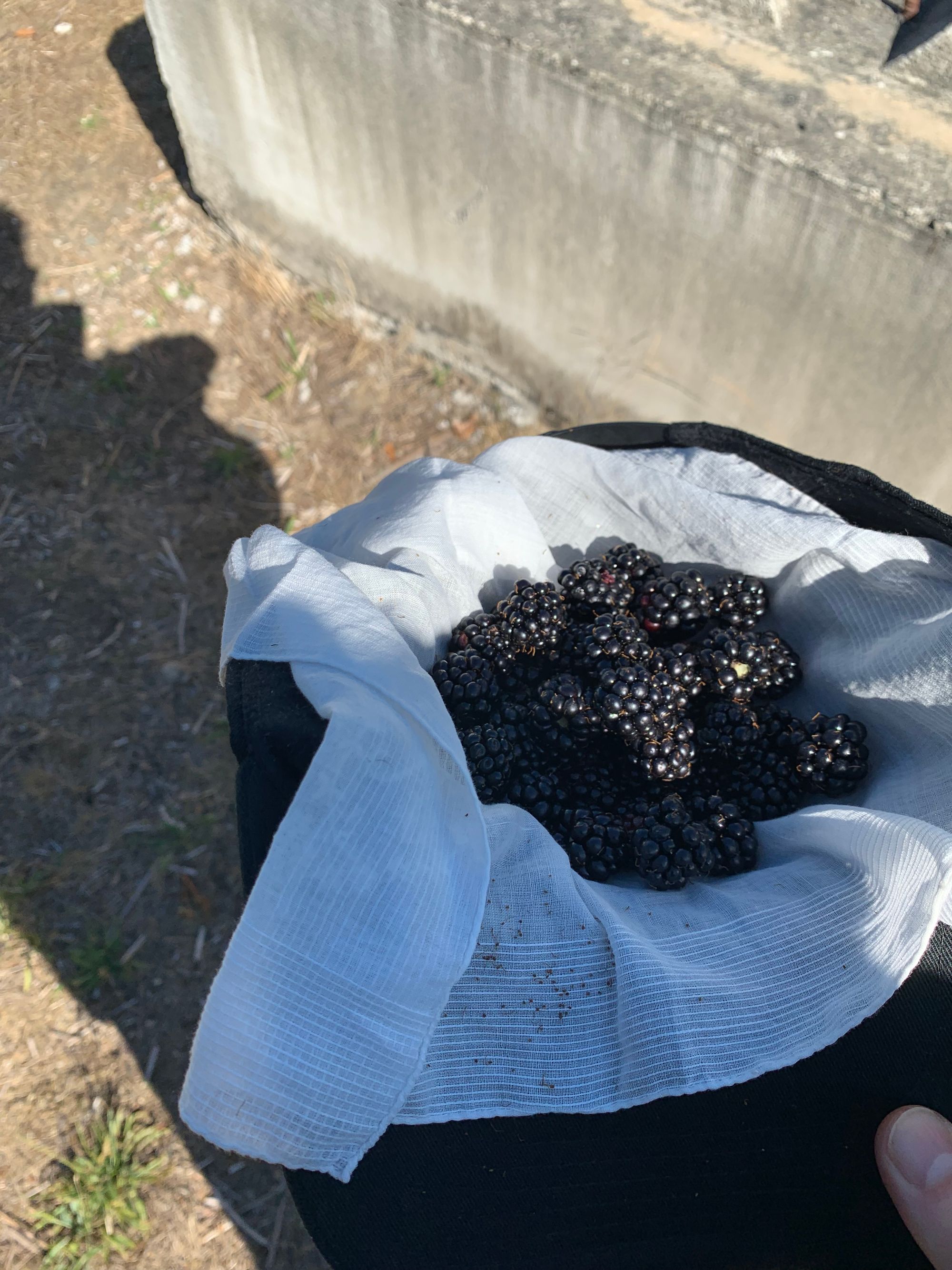 black hat with a white handkerchief & a pile of fresh blackberries, in the background a black shadow of a person & a concrete block