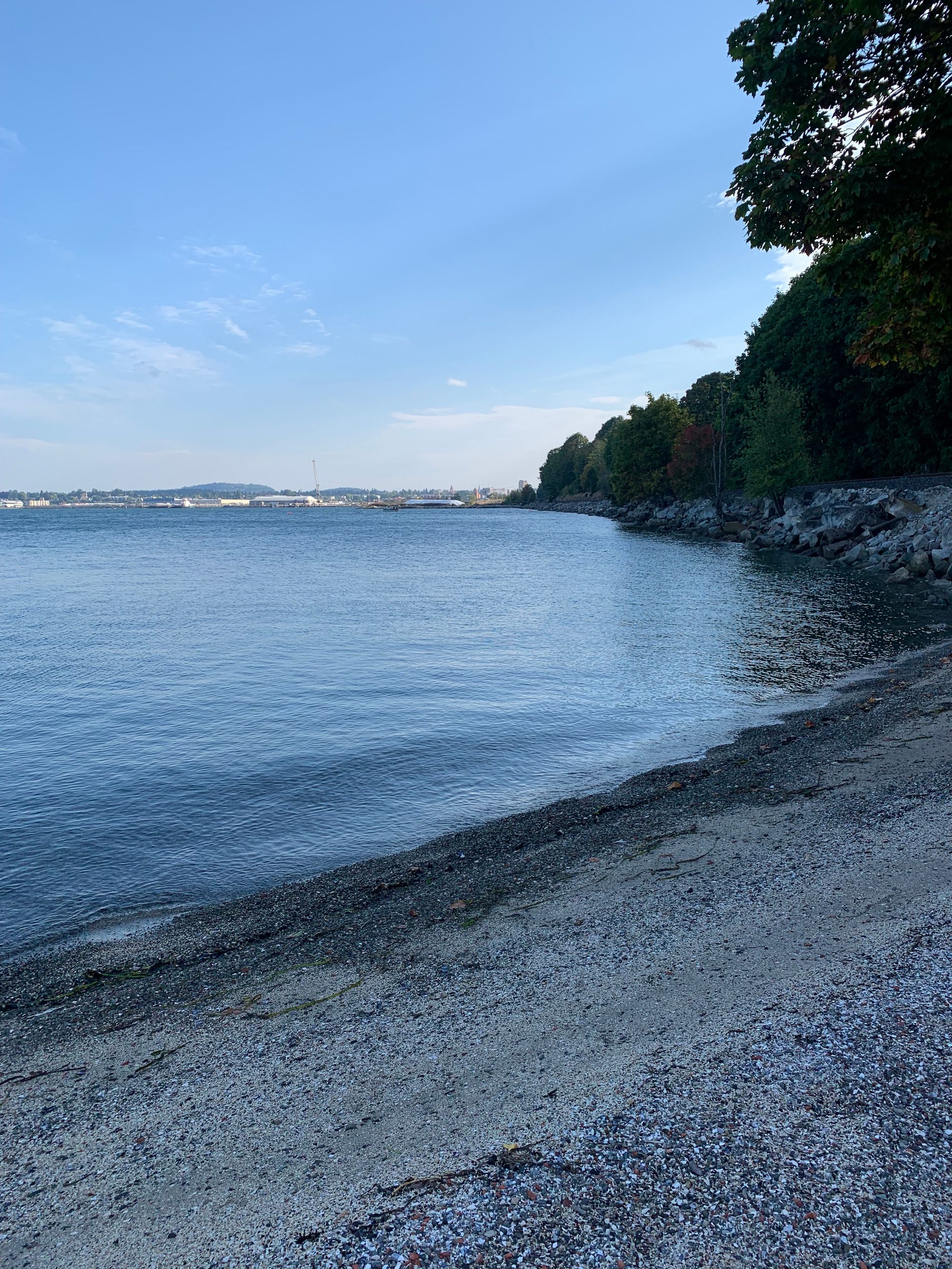 a sandy beach covered in crushed shells, a curving tree line, boats & buildings visible in the distance