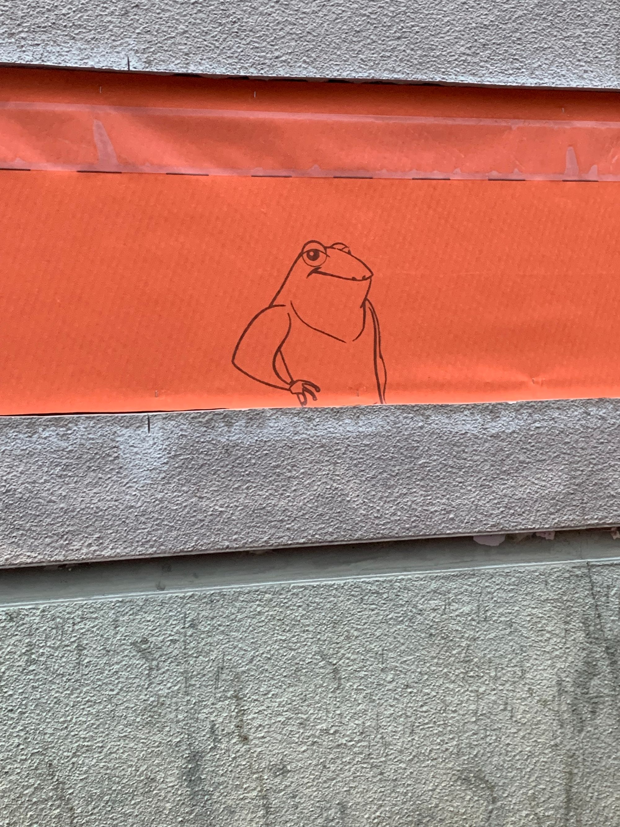 grey concrete wall with orange plastic temporary siding printed with a line drawing of a smug frog