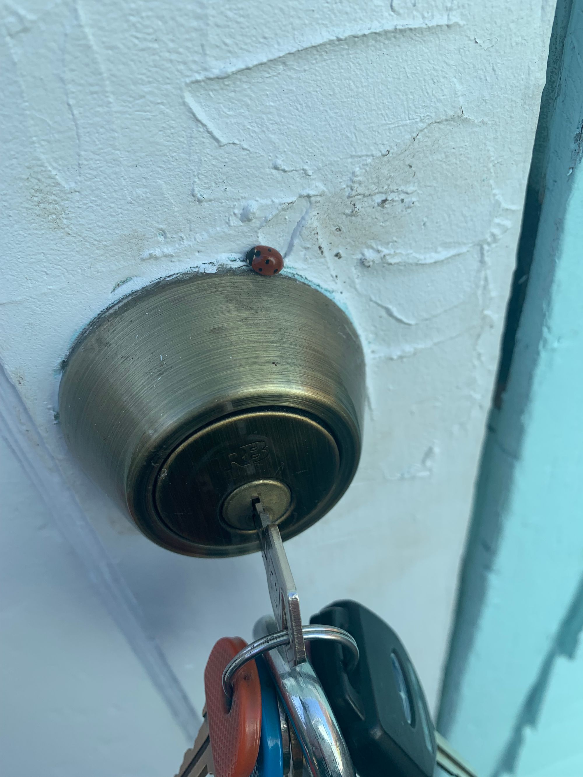 light blue door, brass lock with a tiny ladybug sitting on top of it, keys in the lock