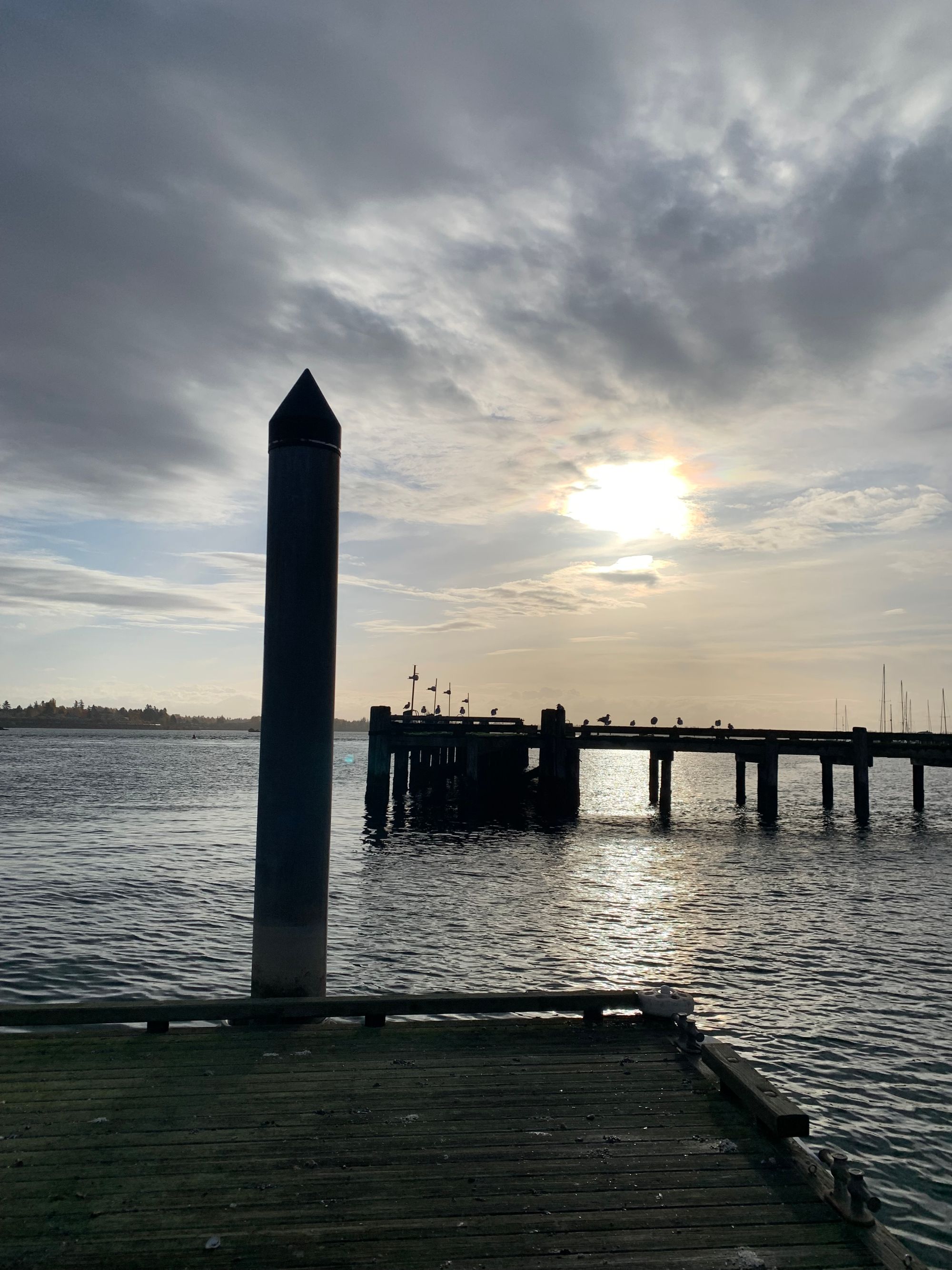 sun behind clouds, boardwalk with seagulls on it, shoreline in the distance, shining grey water