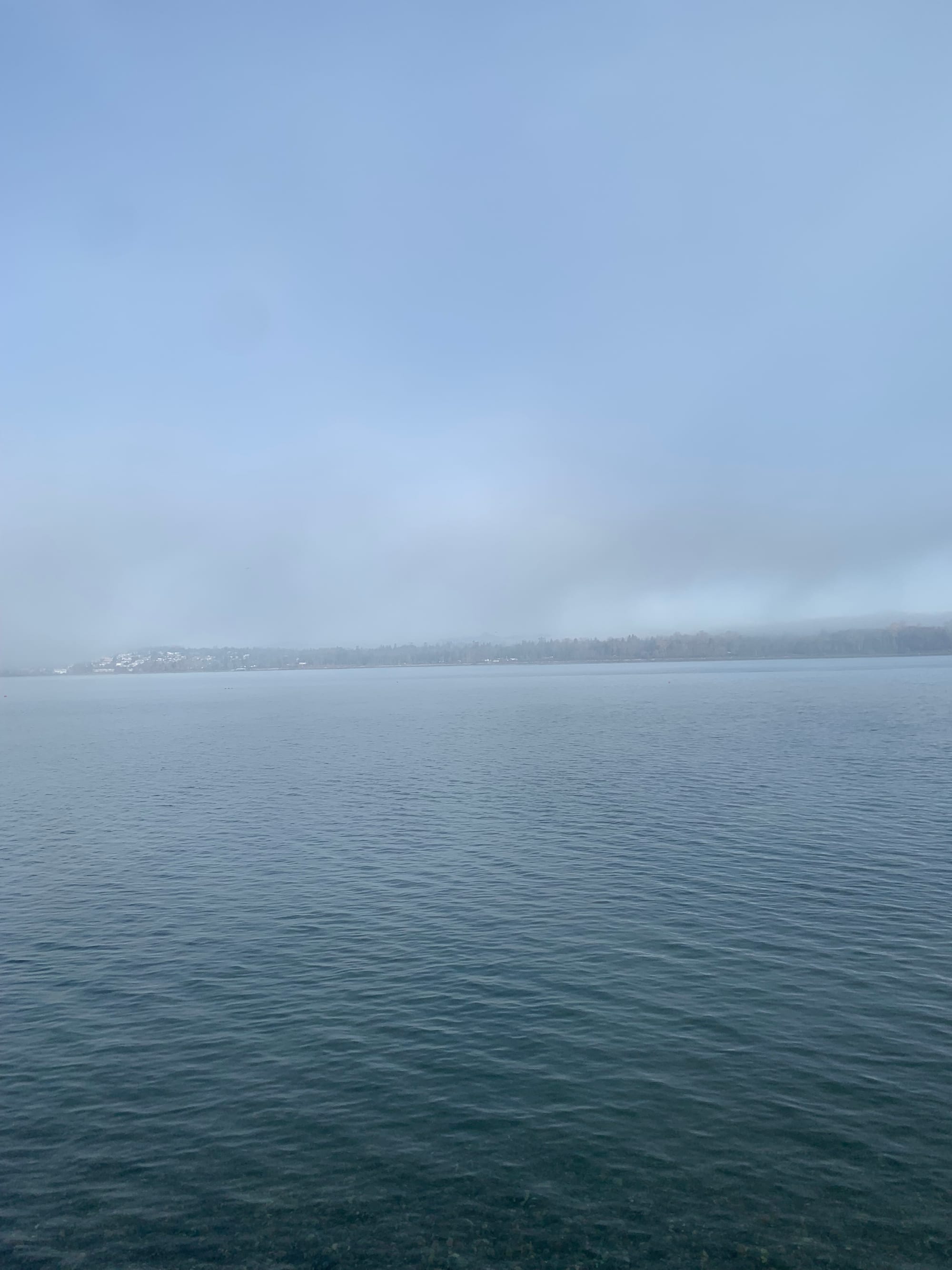 grey bay water, distant shore with houses, light grey mist