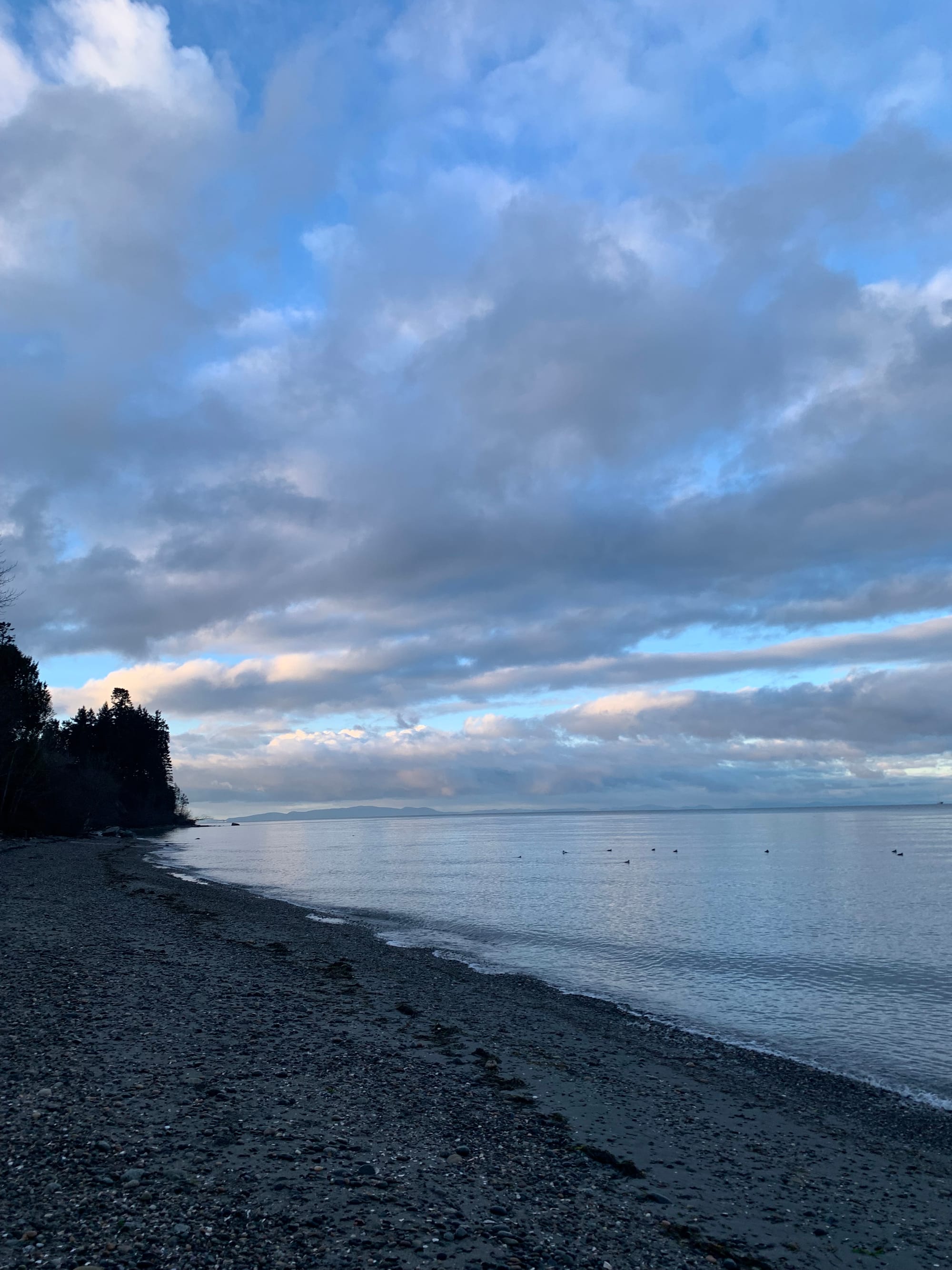 cloudy sky with bits of blue visible, dark pebble peach, grey water with birds on it, islands visible in the distance