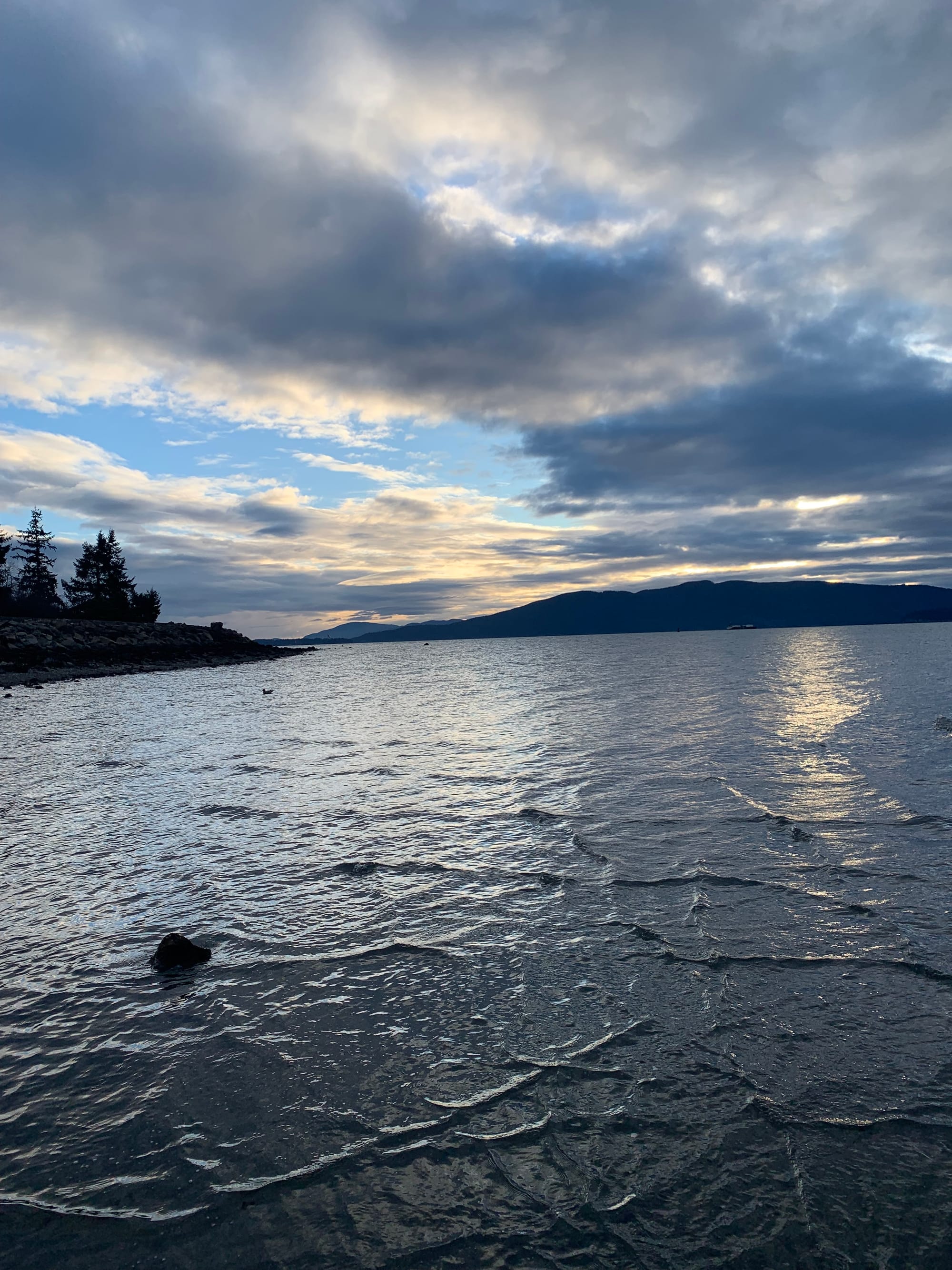 silvery rippling water, the beginnings of sunset, islands and trees in the distance, one lone duck