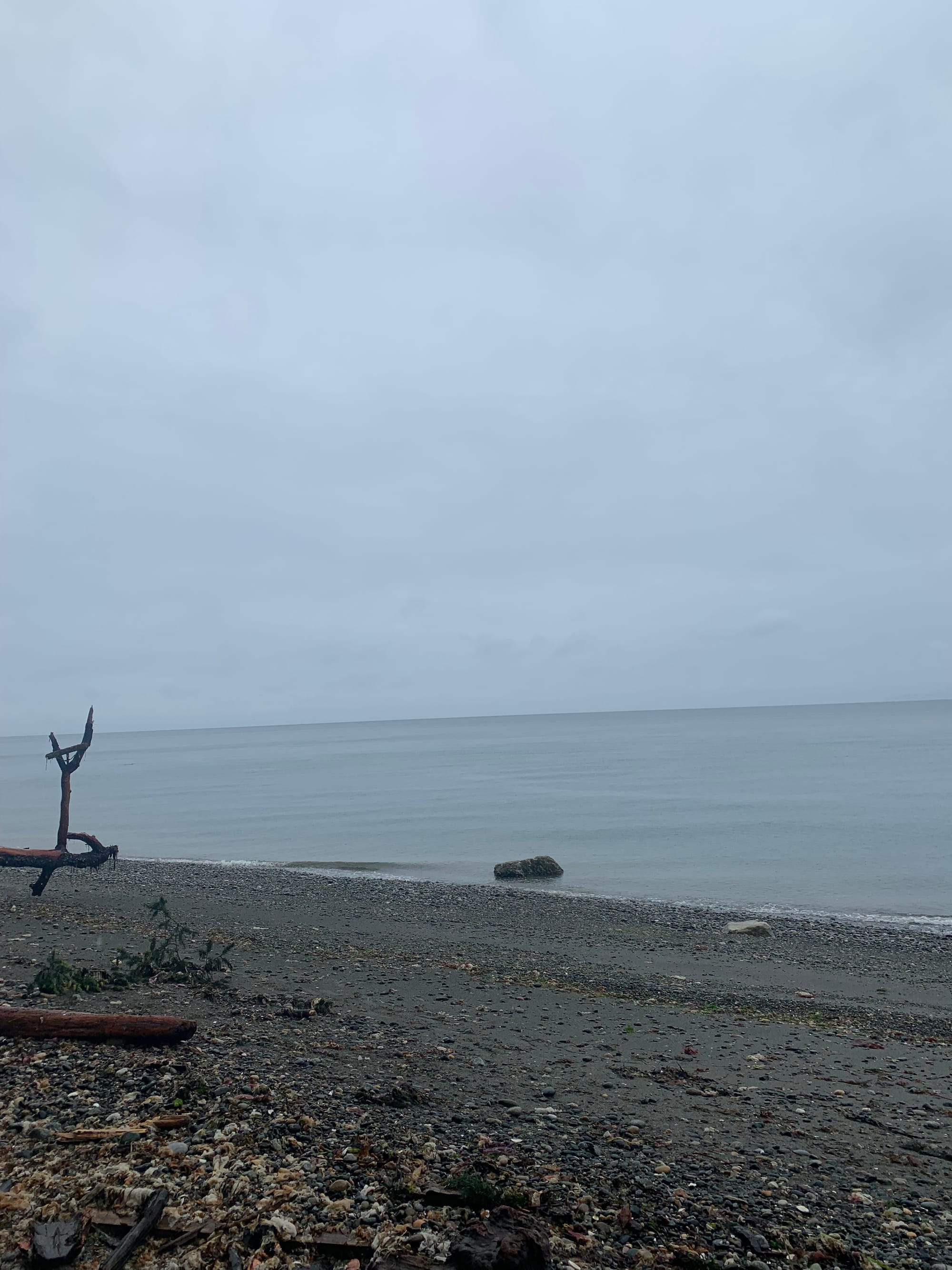 grey sky, sea, & pebble beach, one rock in the low tide, some driftwood propped upright on the left