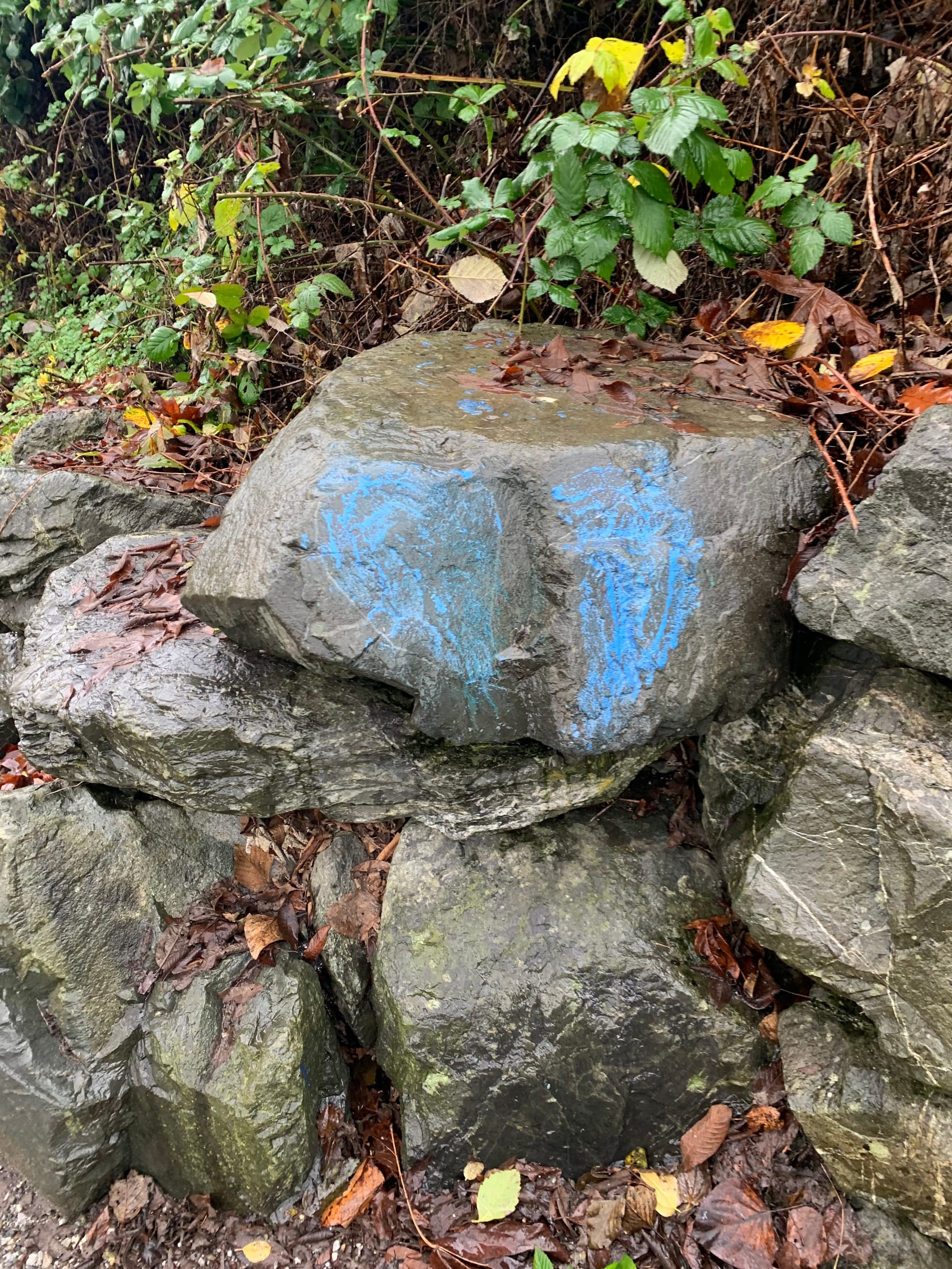 wet grey rocks on which someone has made a blurry blue graffiti broken heart