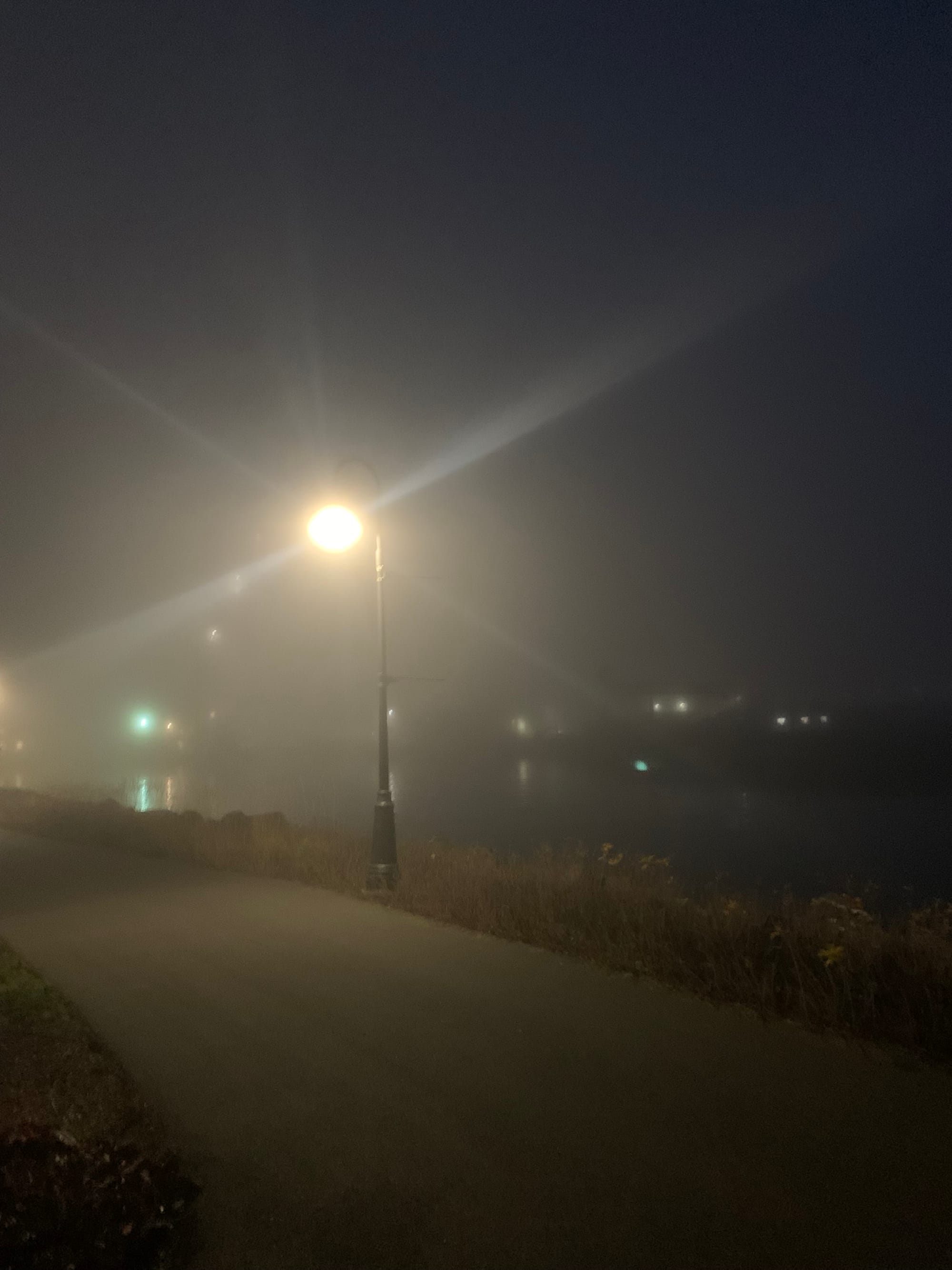 picture of a street lamp & distant lights on a foggy sidewalk at night