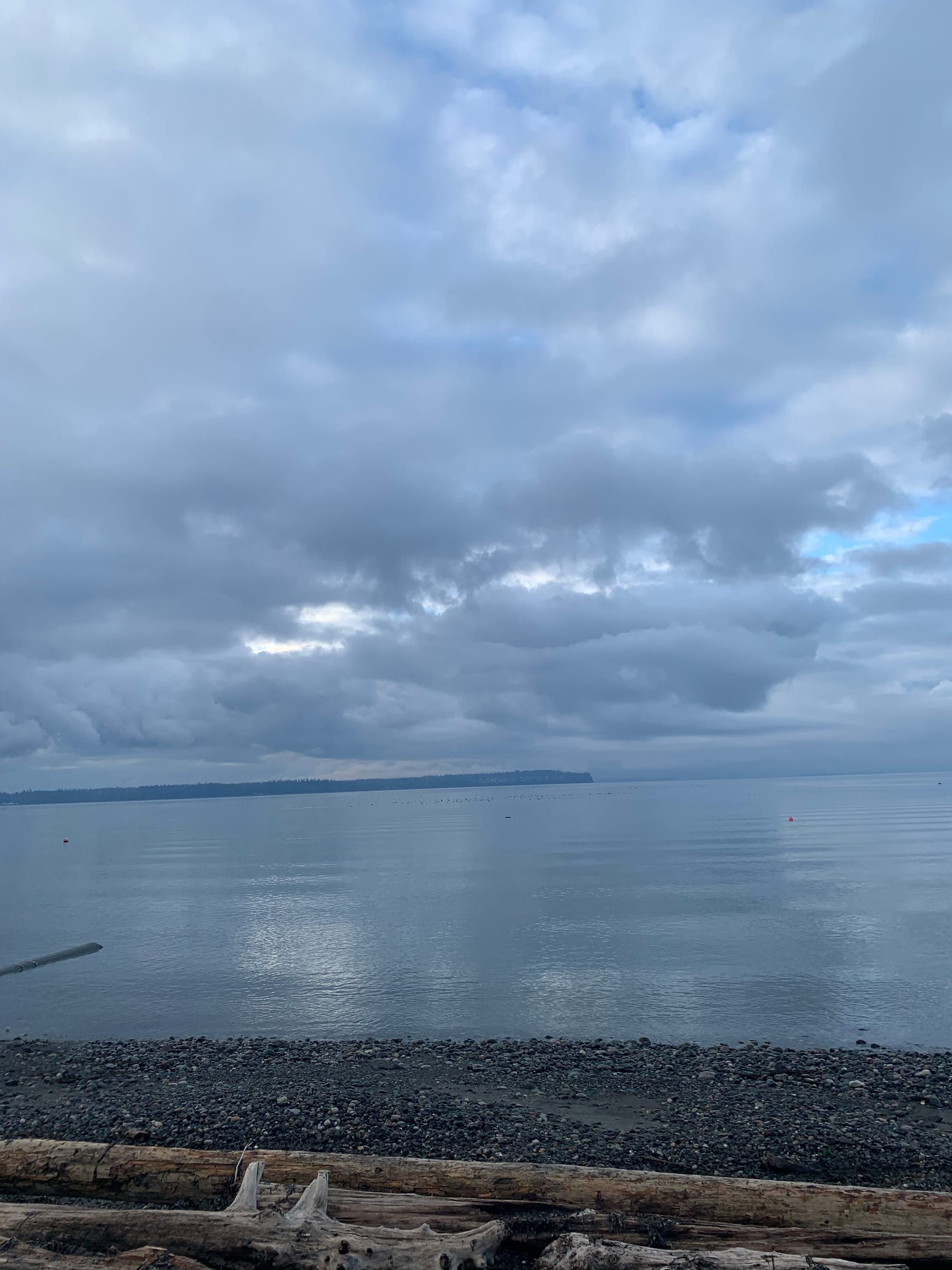 driftwood, rocky beach, grey blue water & cloudy sky, islands in the distance