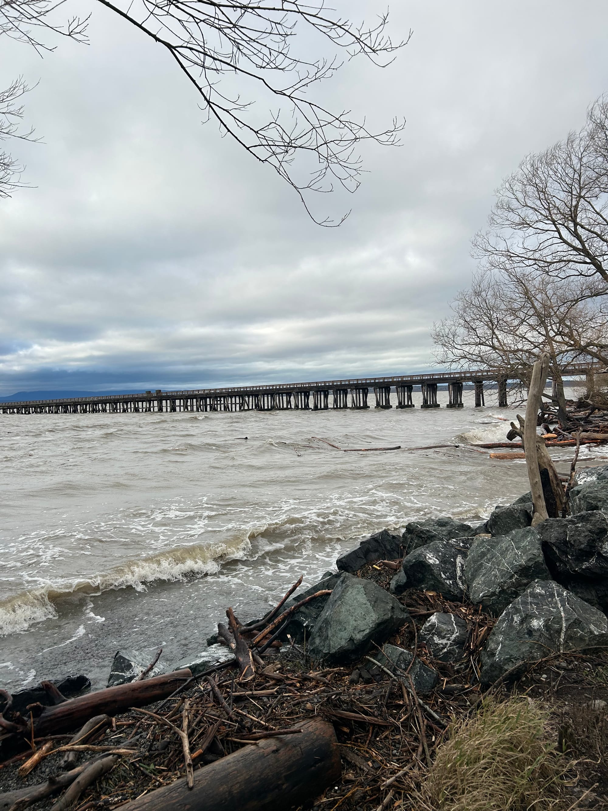 view of a long pier stretching out over grey brown water, logs washing up on shore, grey cloudy sky